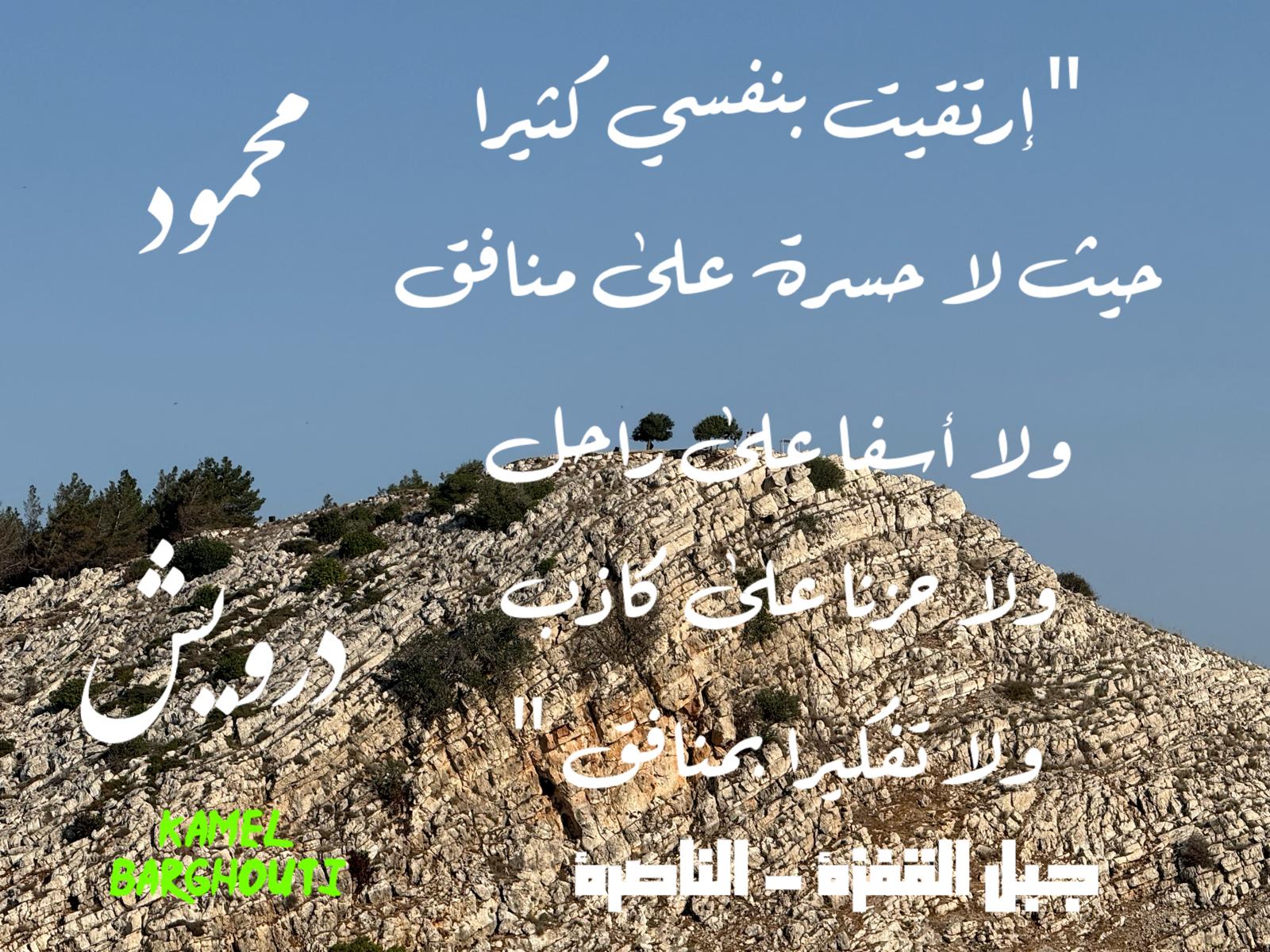 حكمة – اقتباس 294