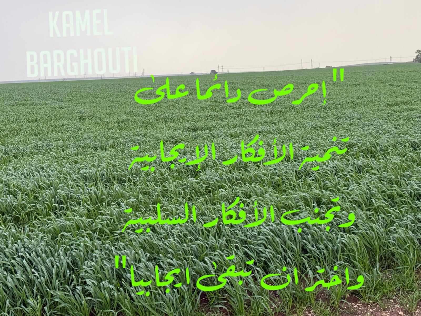 حكمة – اقتباس 287