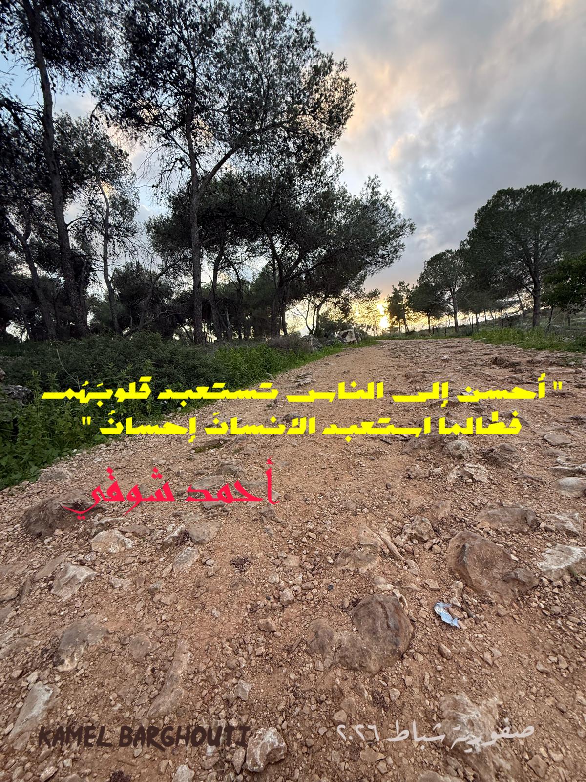 كلام جميل – اقتباس 575