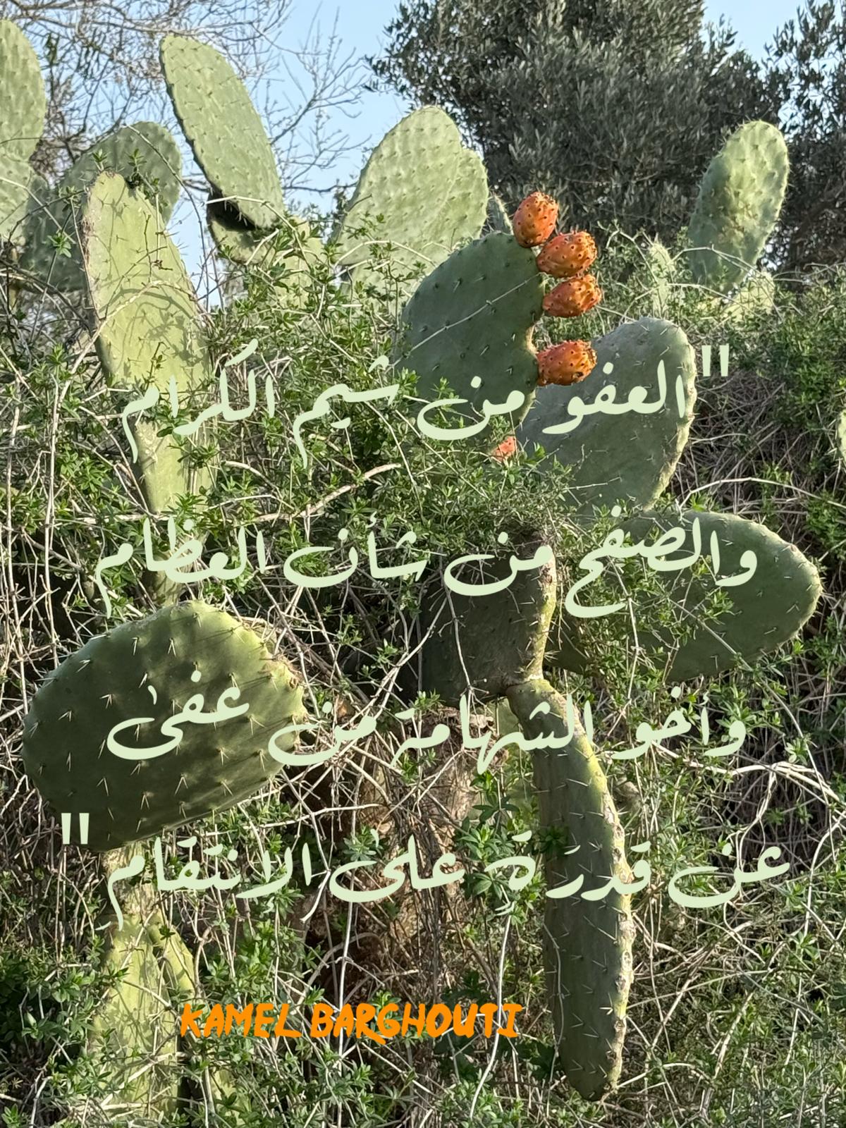 تسامح – اقتباس 25