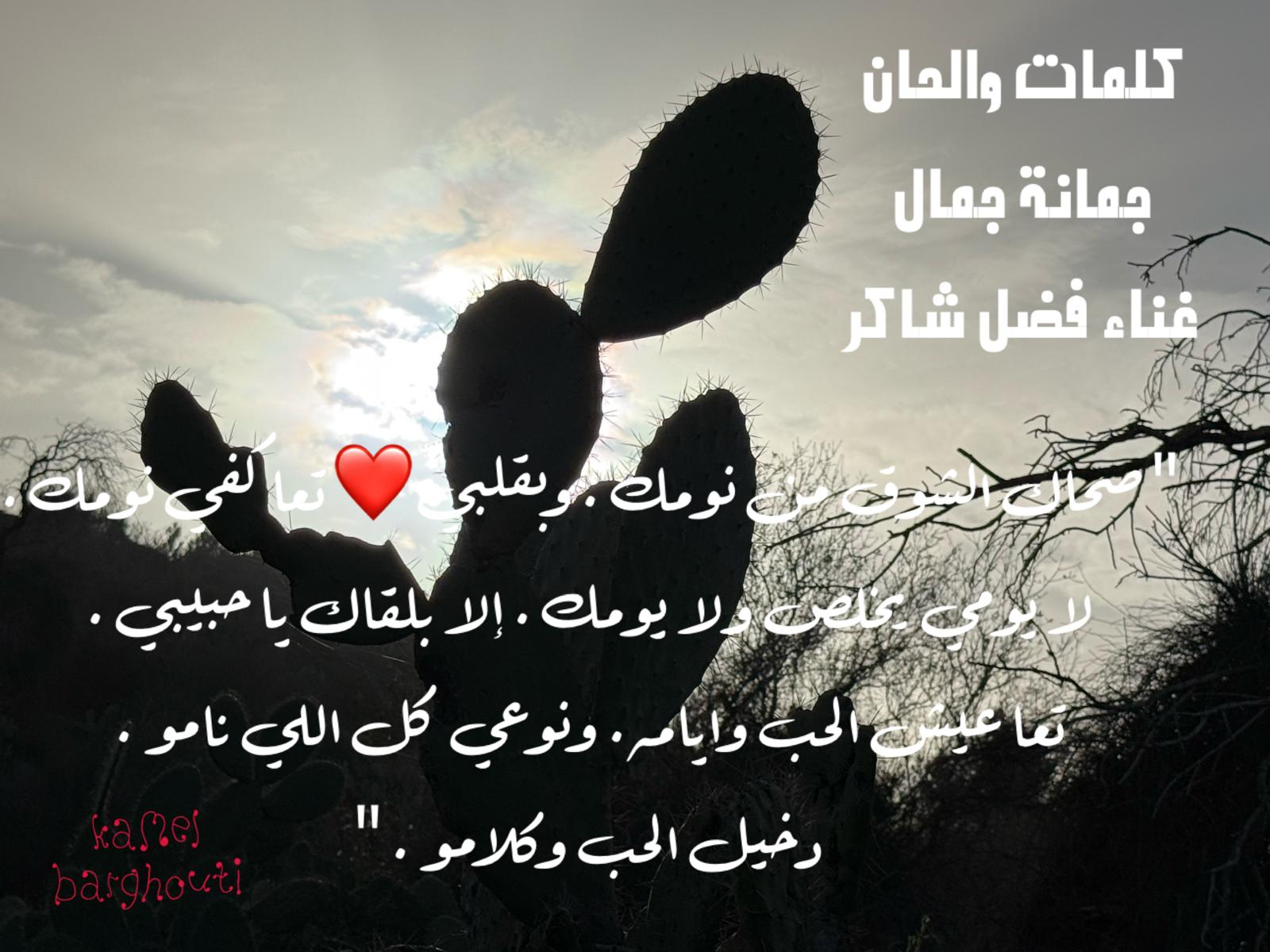 حب وحنين – اقتباس 528