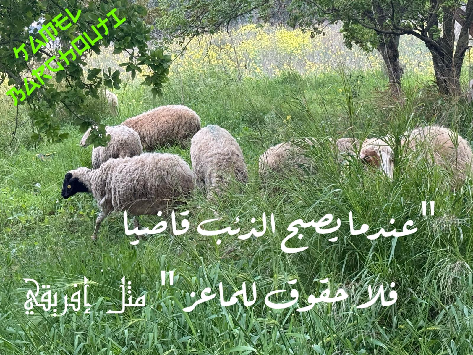 الحق والعدل والصدق – اقتباس 132