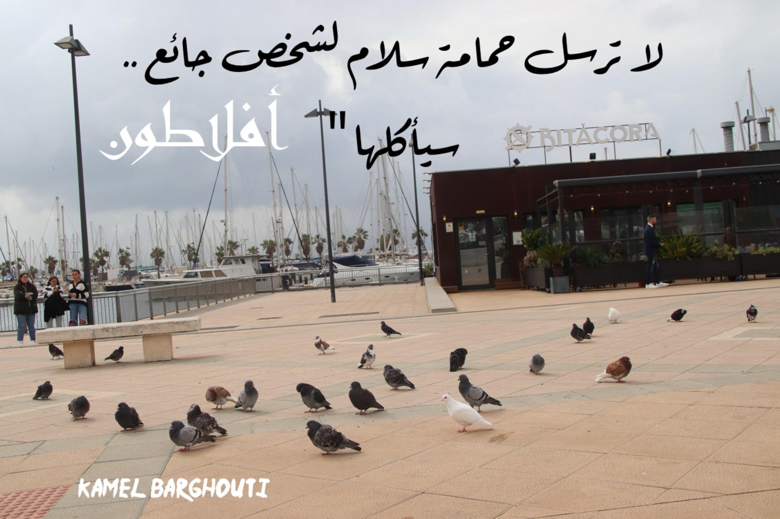 حكمة – اقتباس 281
