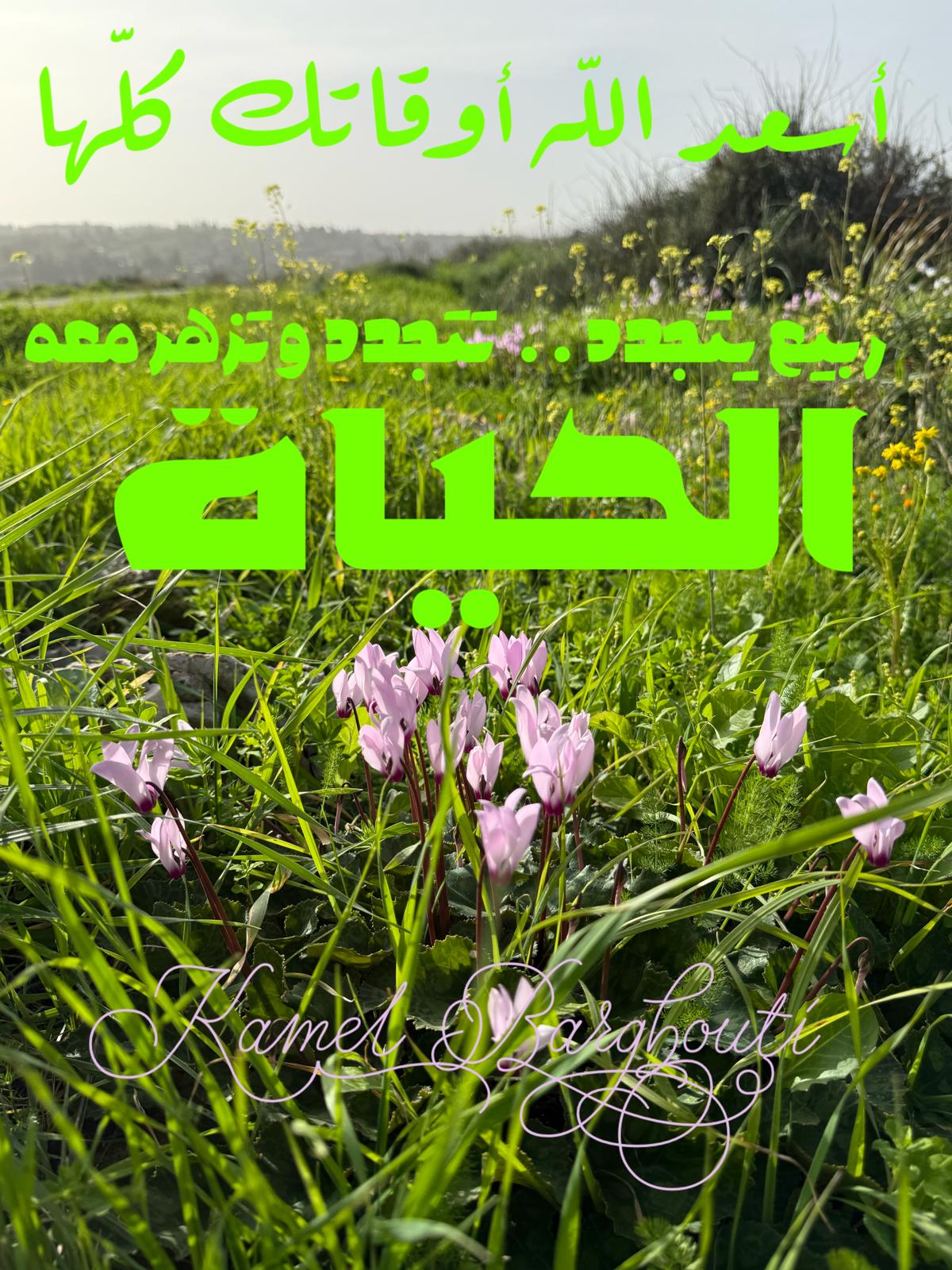 كلام جميل – اقتباس 569