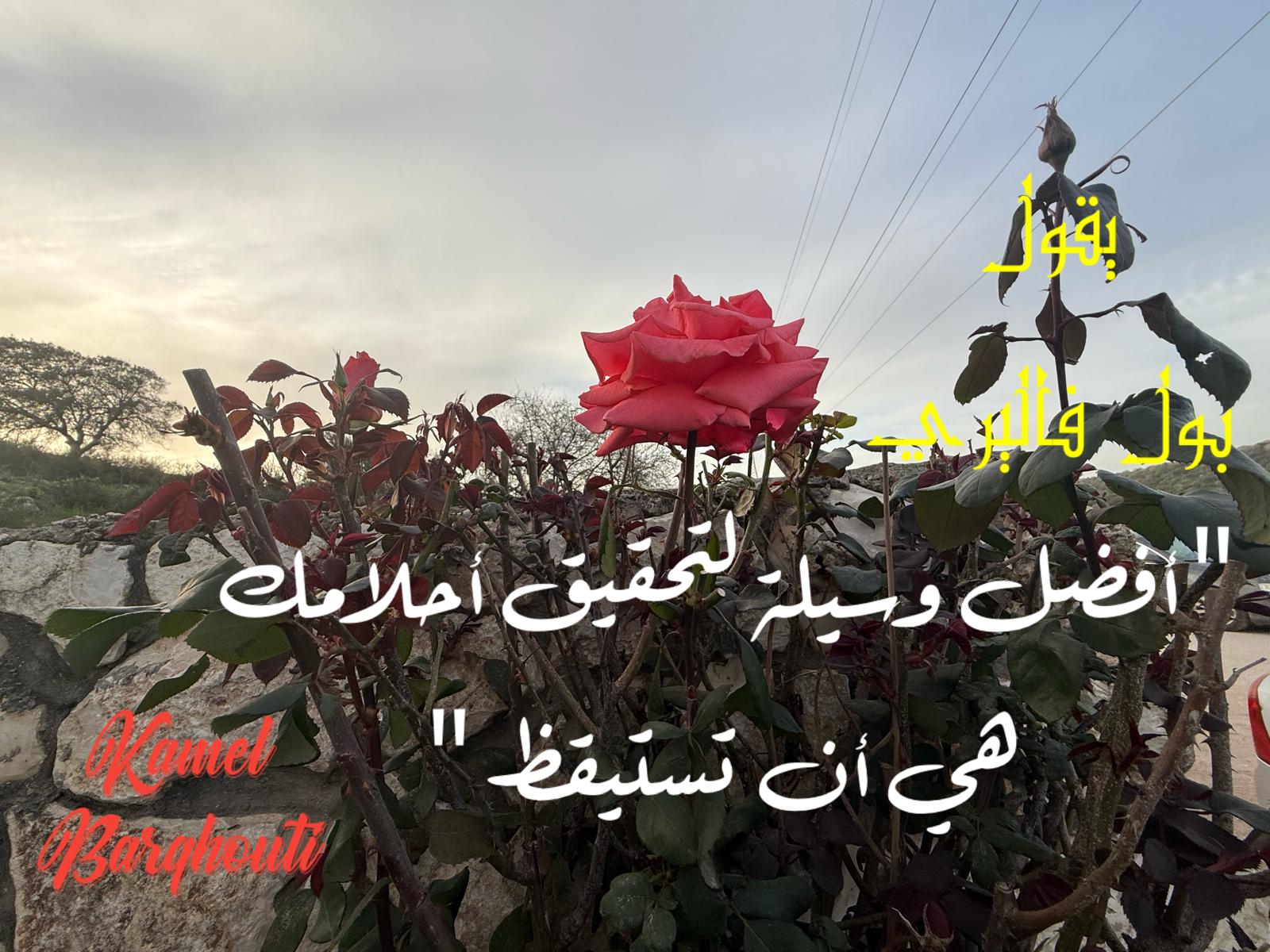 حكمة – اقتباس 278