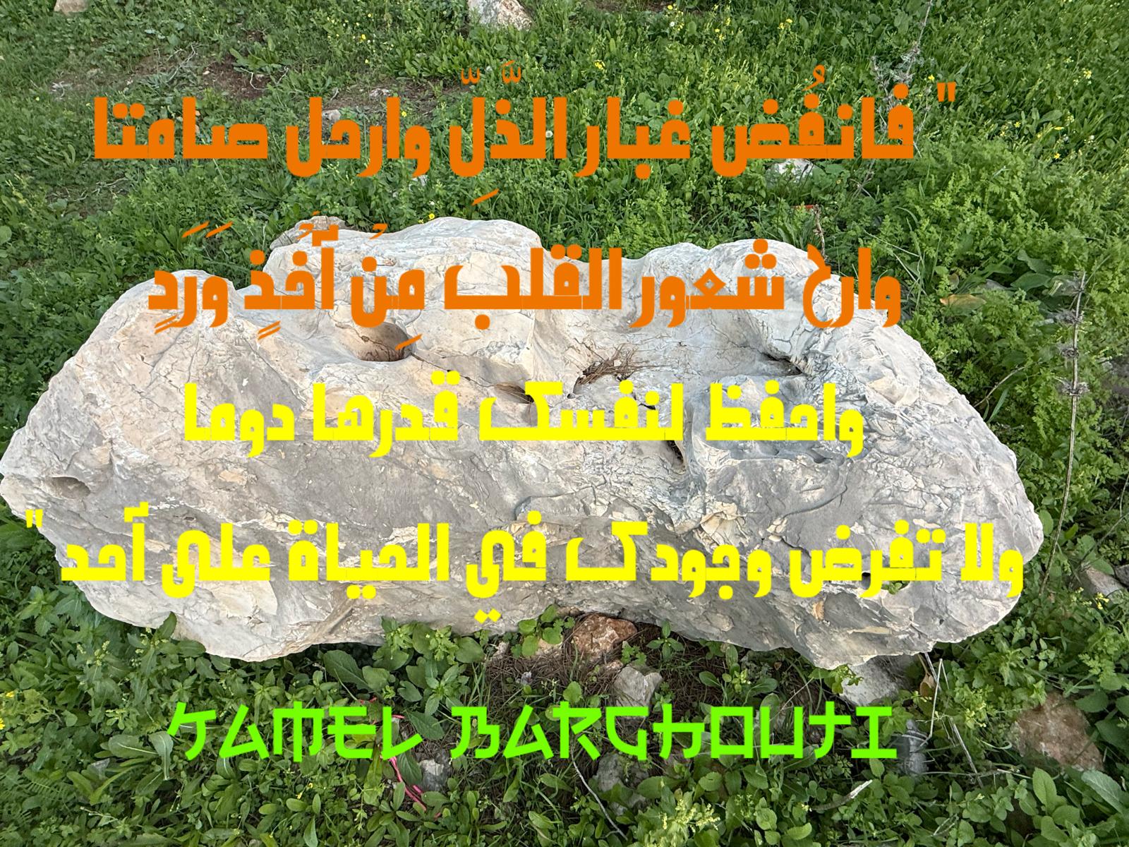 عزة النفس – اقتباس 6