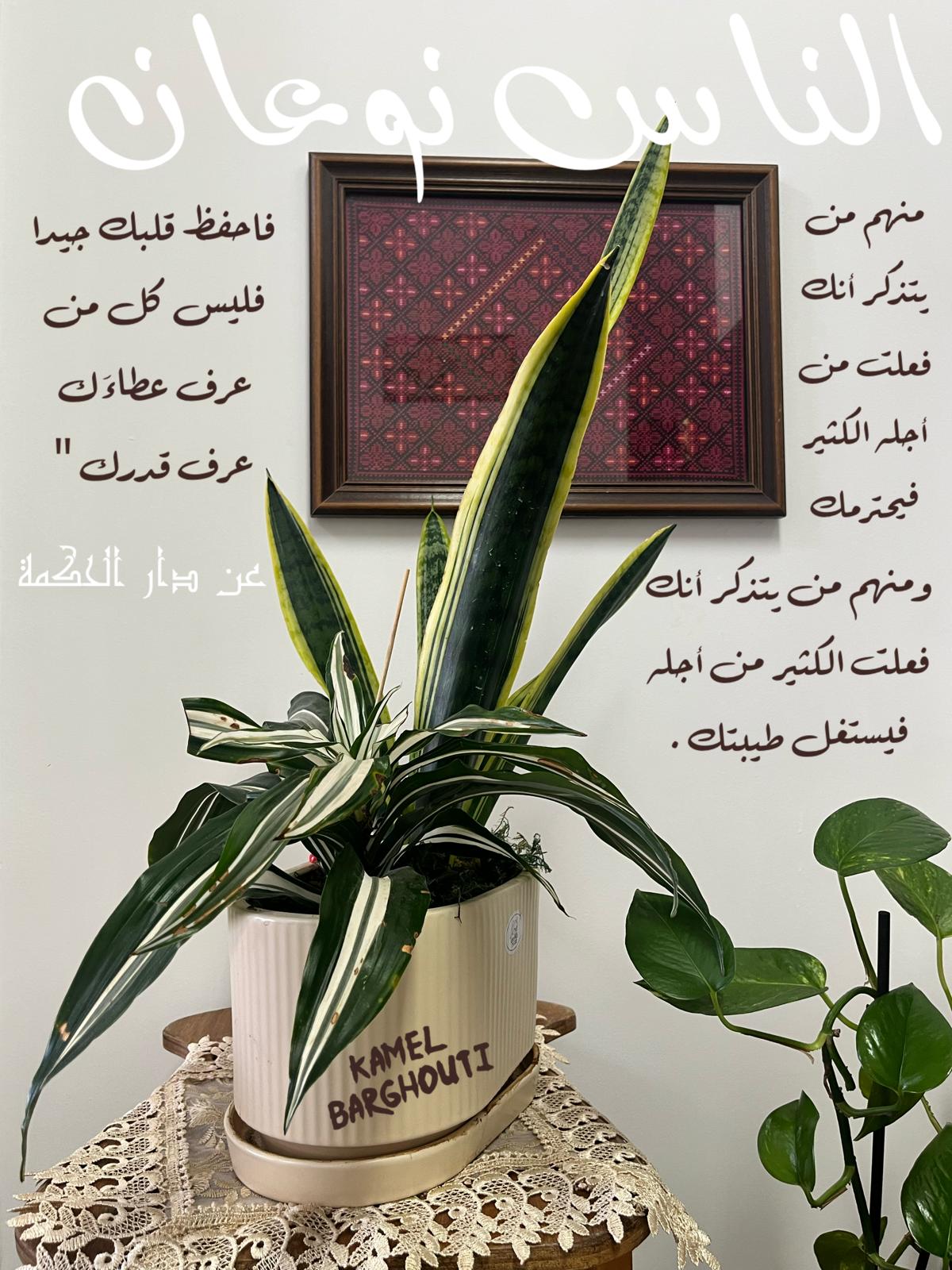 كلام جميل – اقتباس 564
