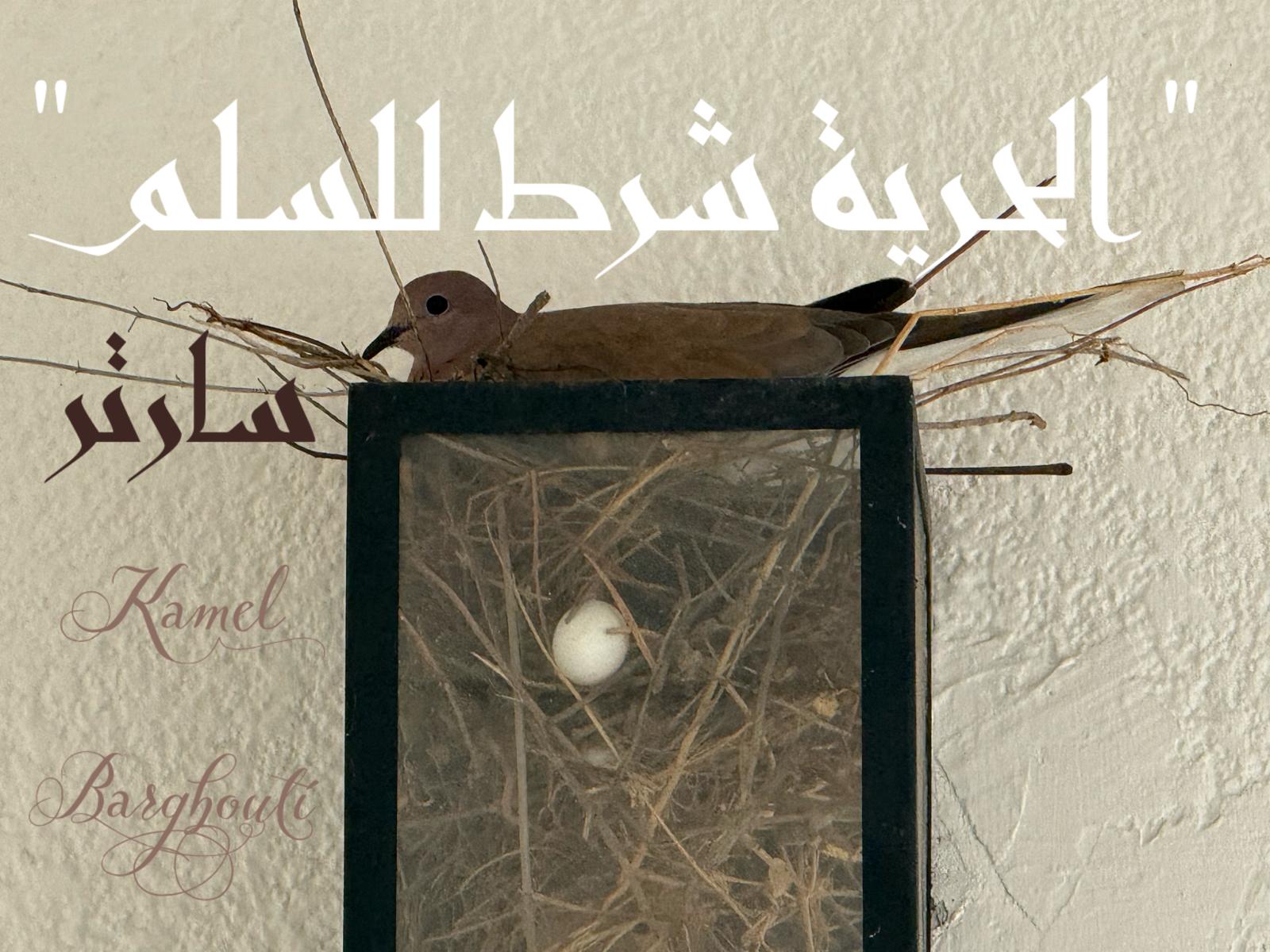 كلام جميل – اقتباس 562