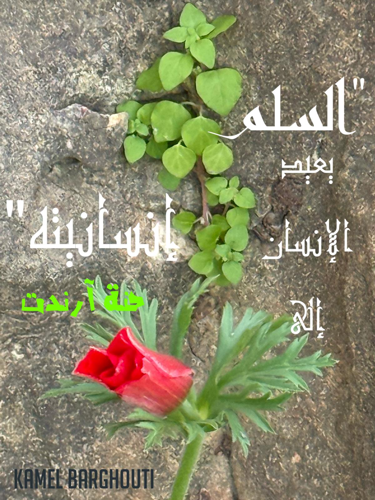 كلام جميل – اقتباس 555
