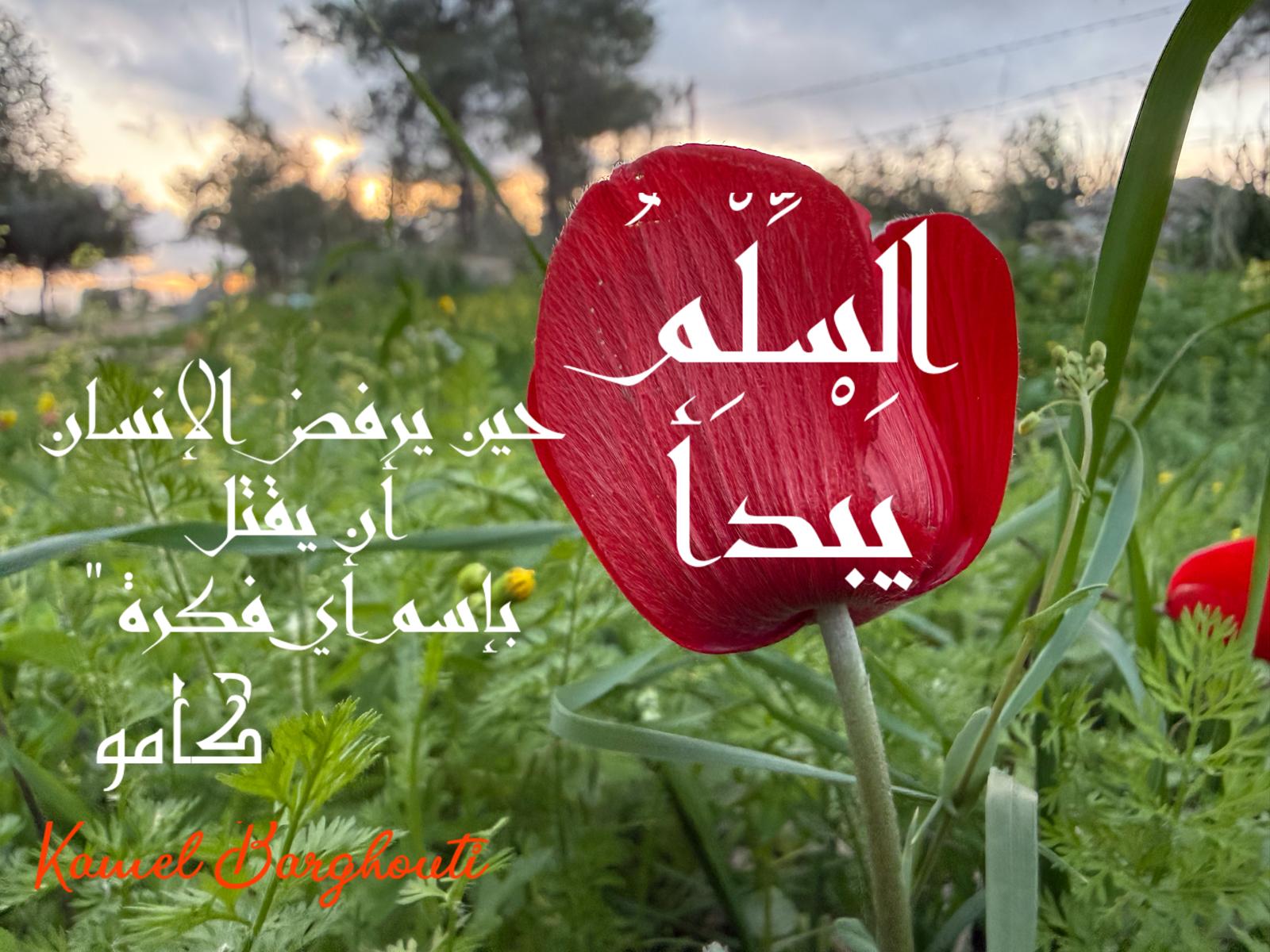 كلام جميل – اقتباس 559