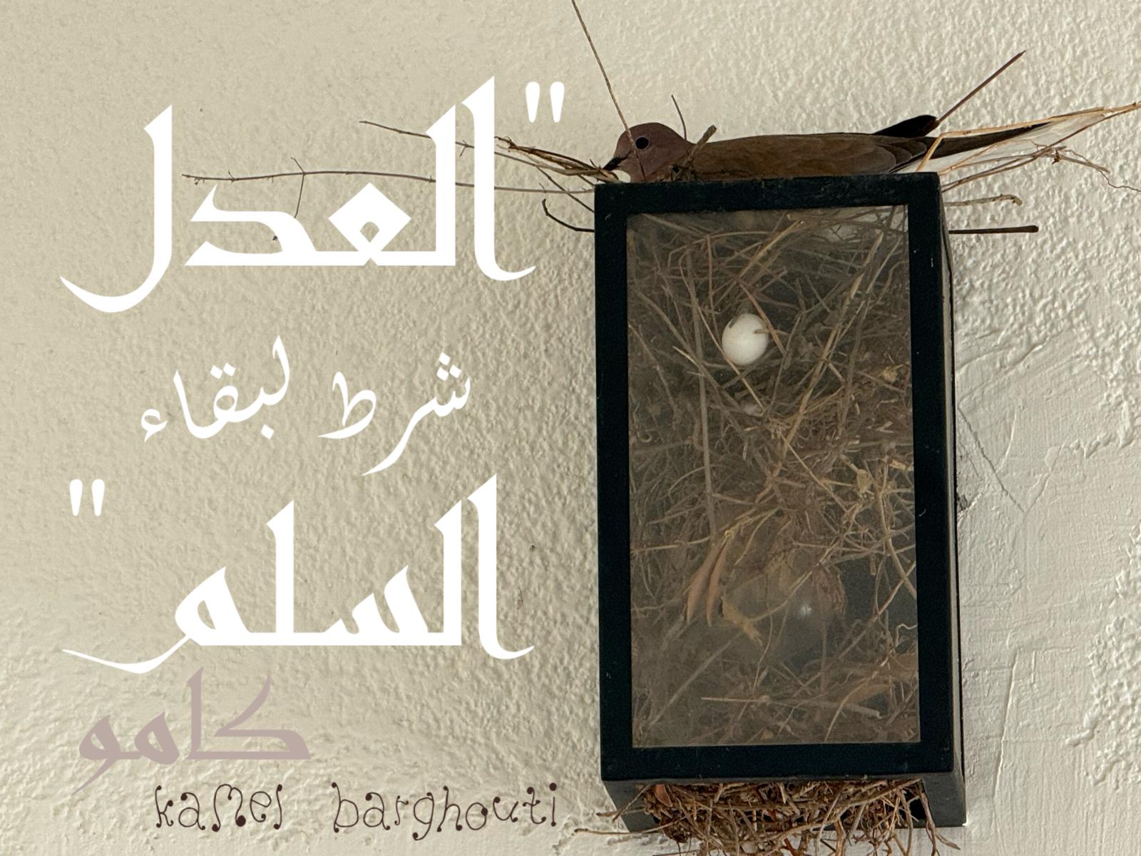 كلام جميل – اقتباس 557