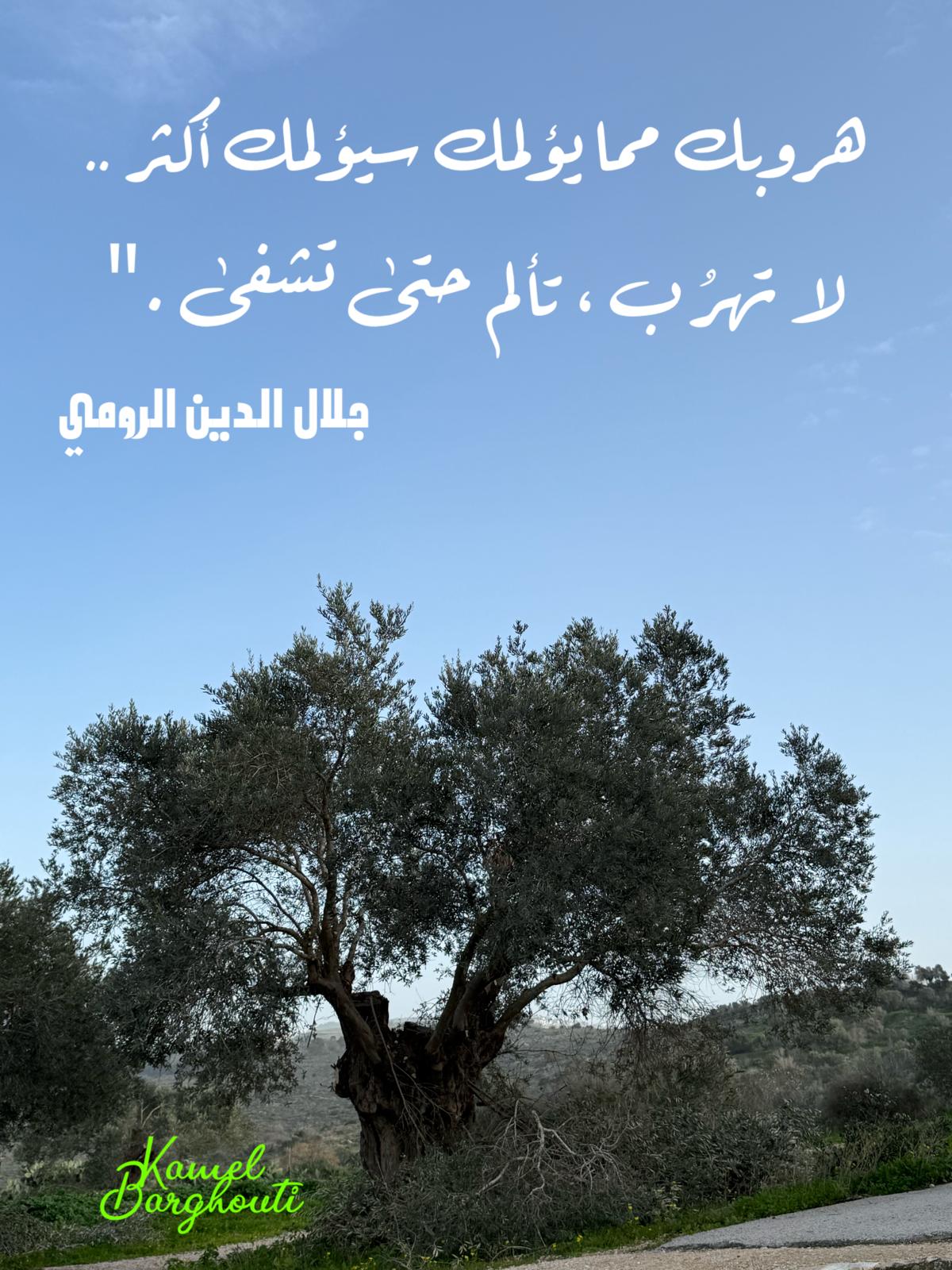 حكمة – اقتباس 269