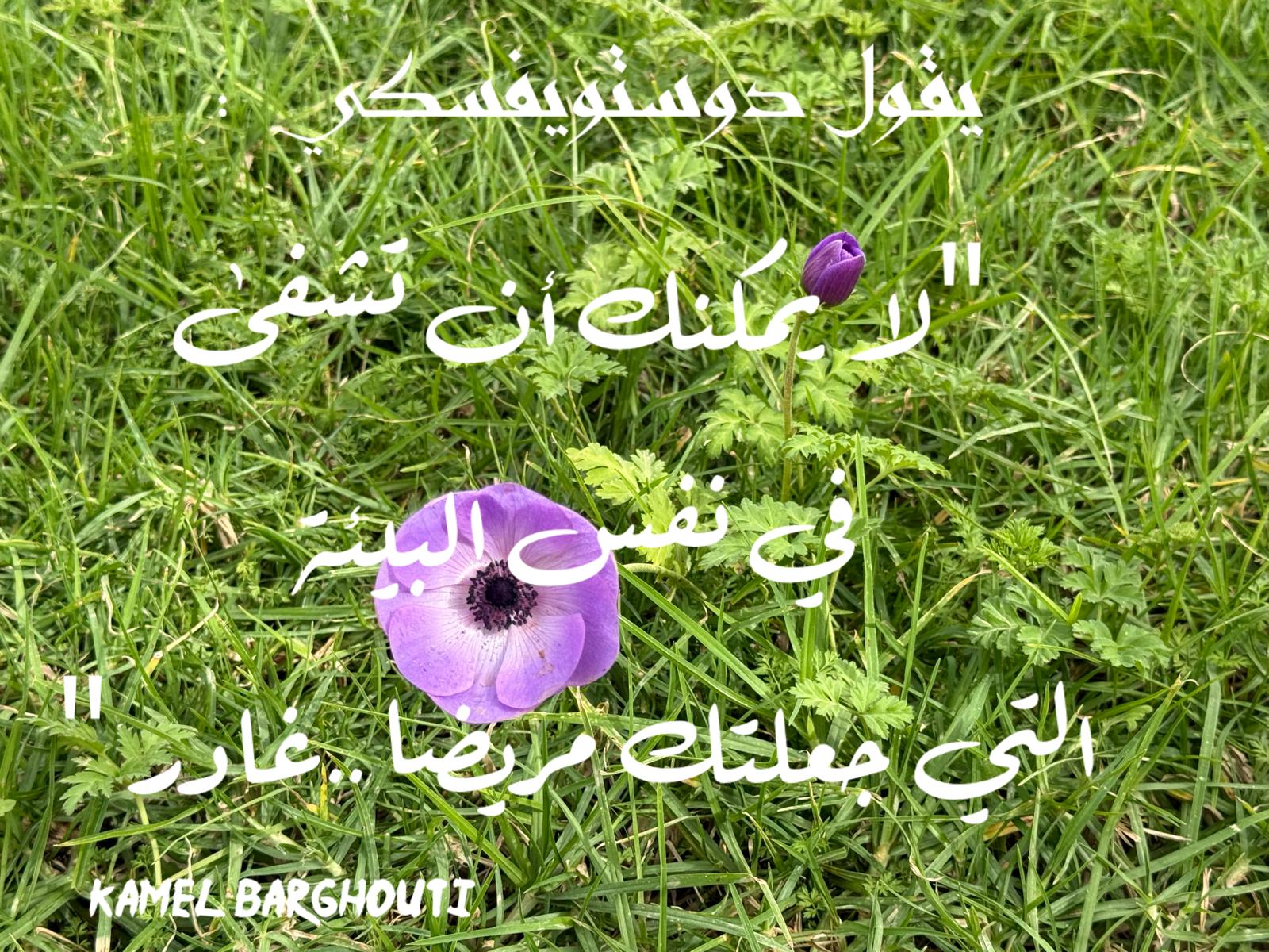 حكمة – اقتباس 270
