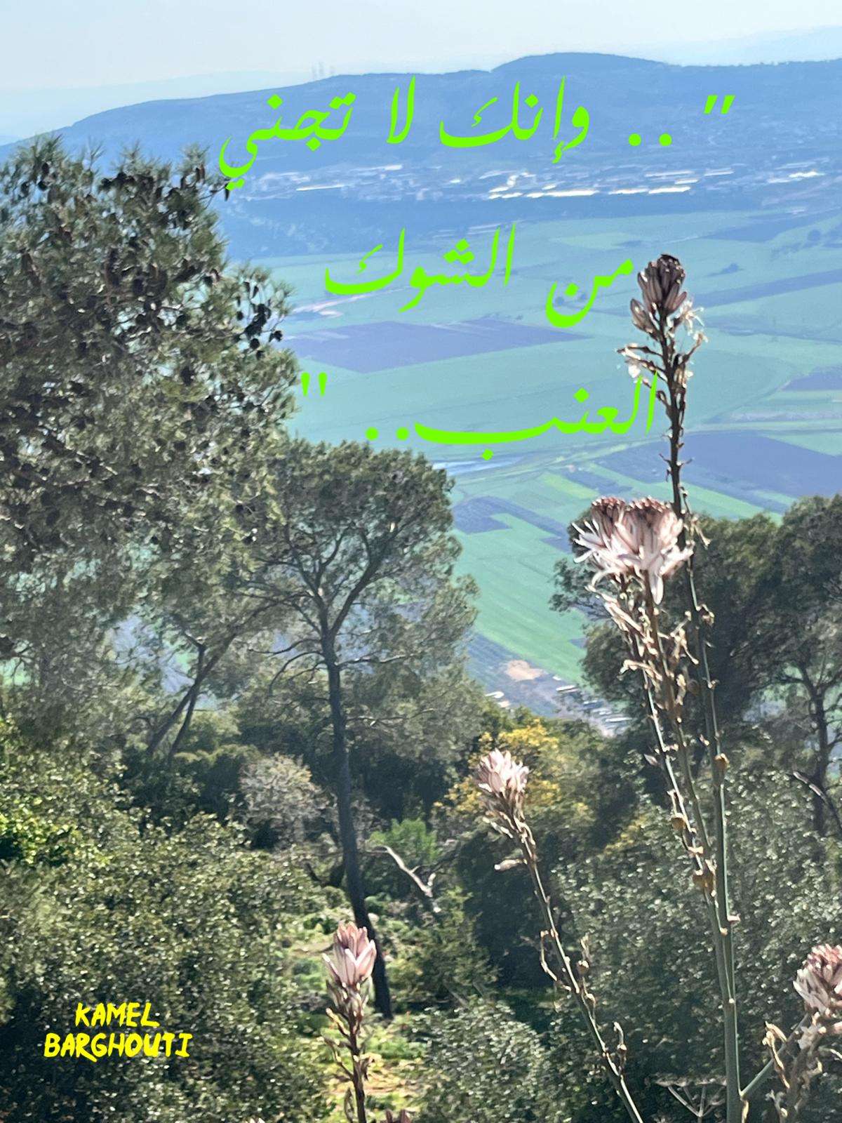 أمثال محلية – اقتباس 109