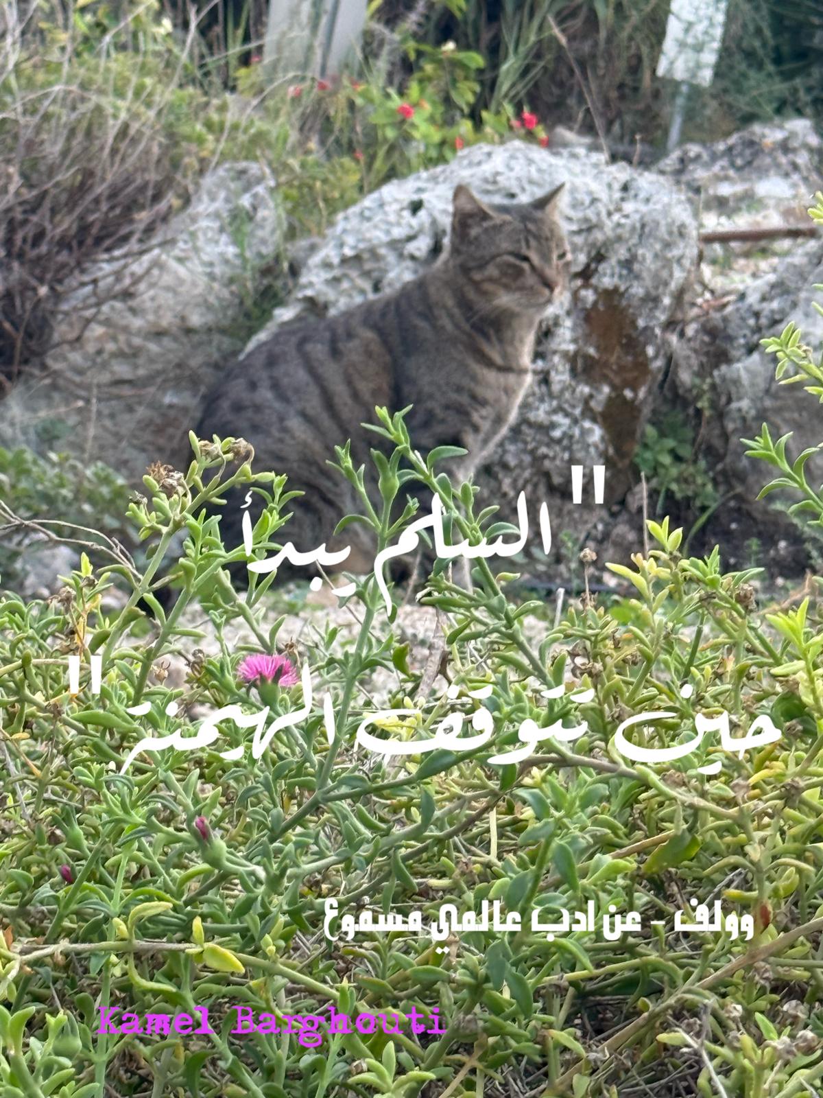 كلام جميل – اقتباس 551