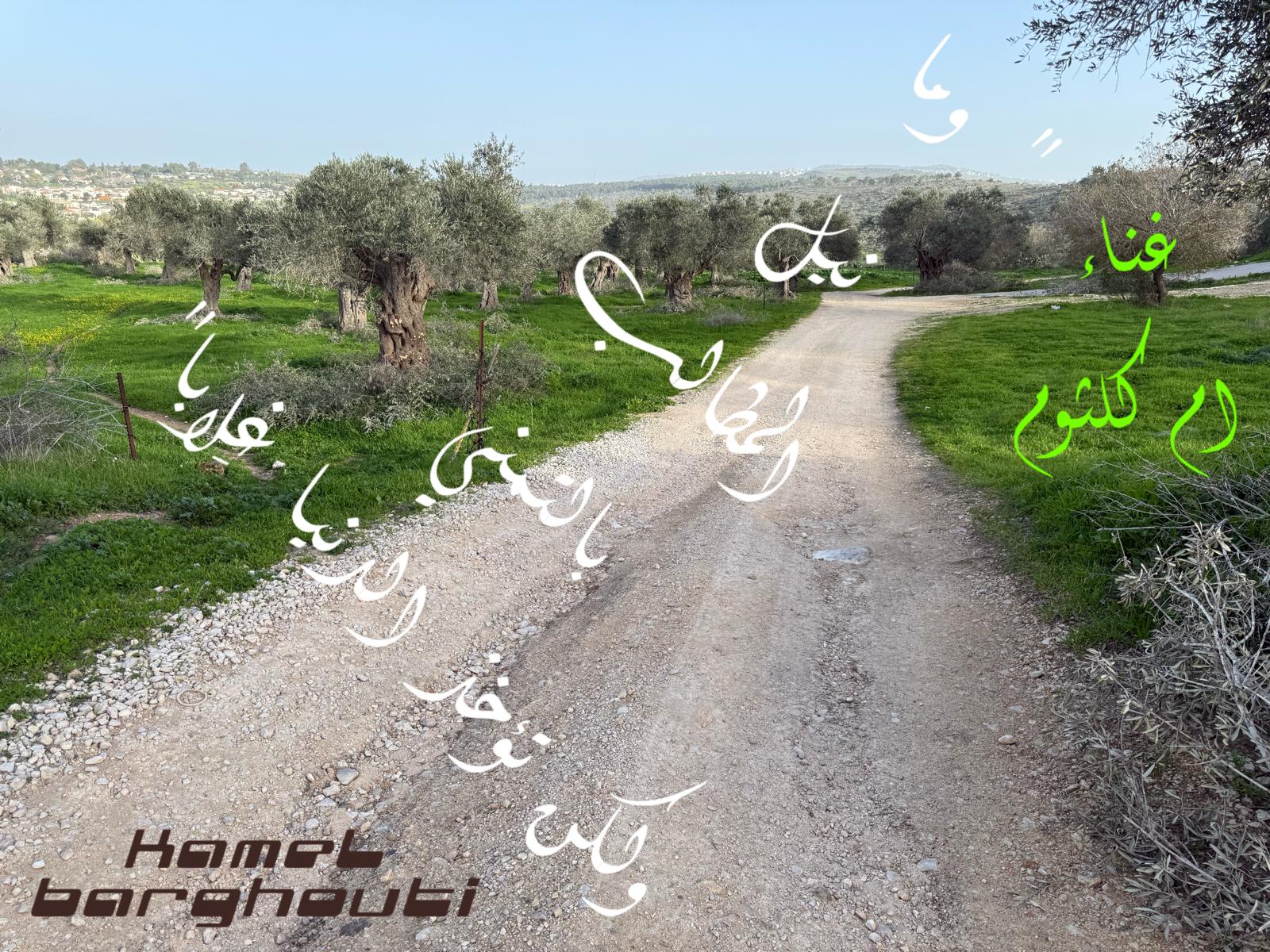 العزيمة والإصرار والثقة بالنفس – اقتباس 279