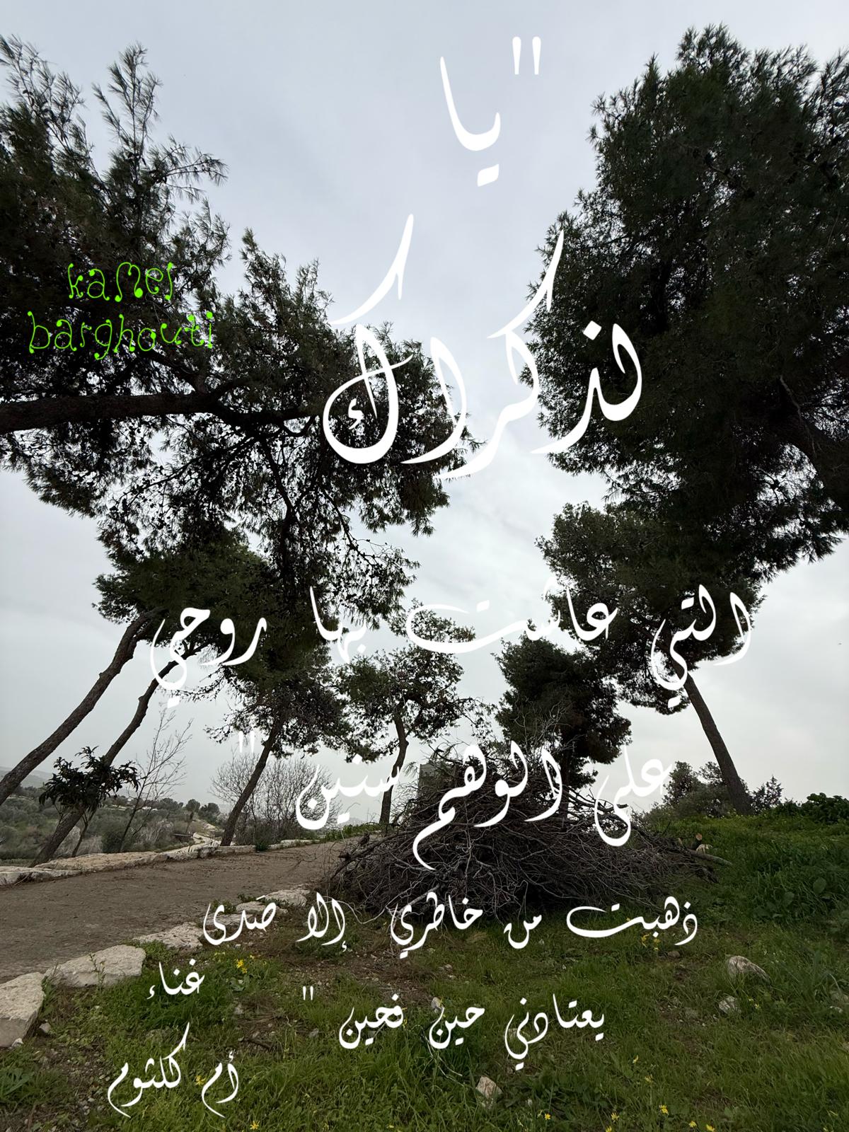 حب وحنين – اقتباس 520