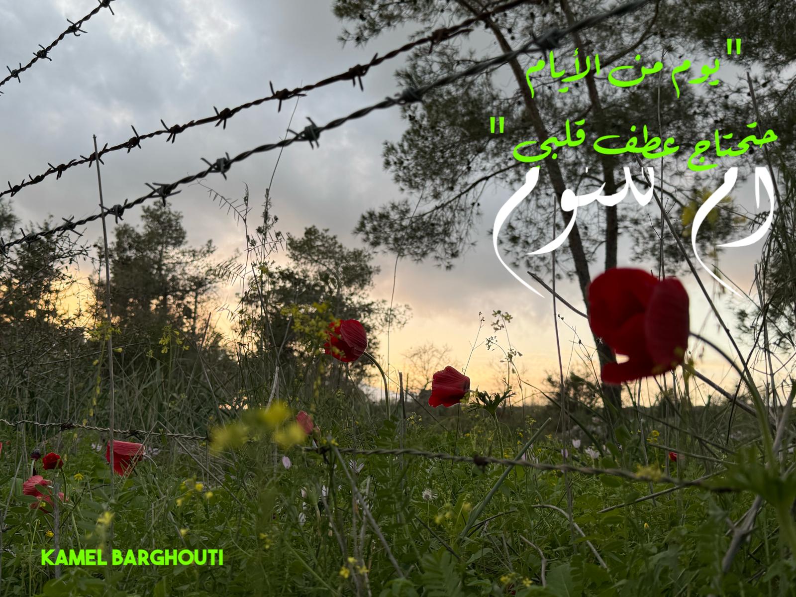 حب وحنين – اقتباس 519