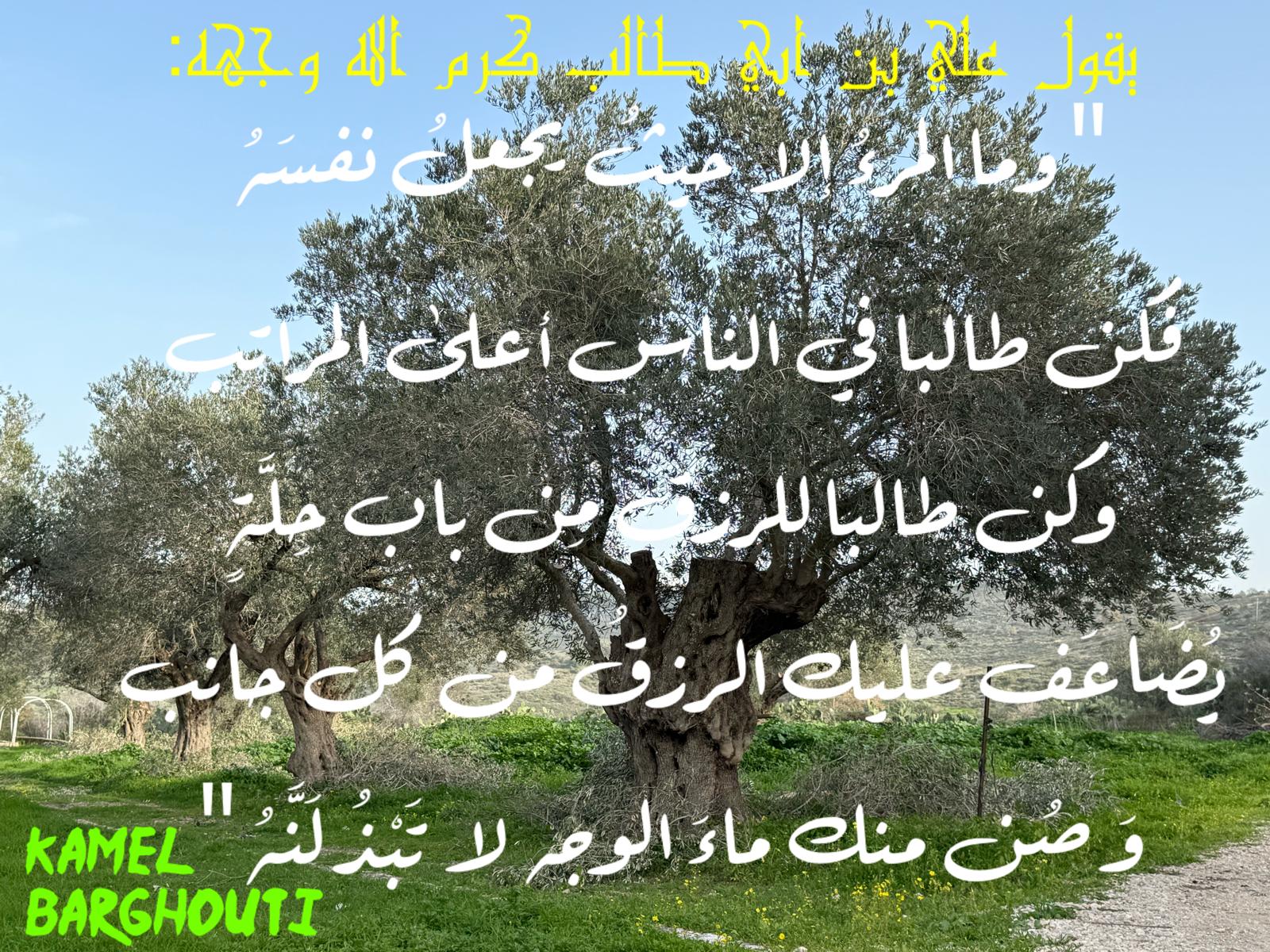 العزيمة والإصرار والثقة بالنفس – اقتباس 278