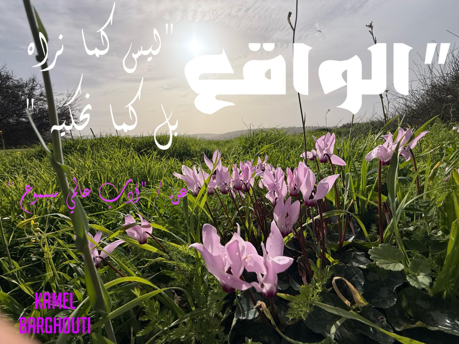 حكمة – اقتباس 264