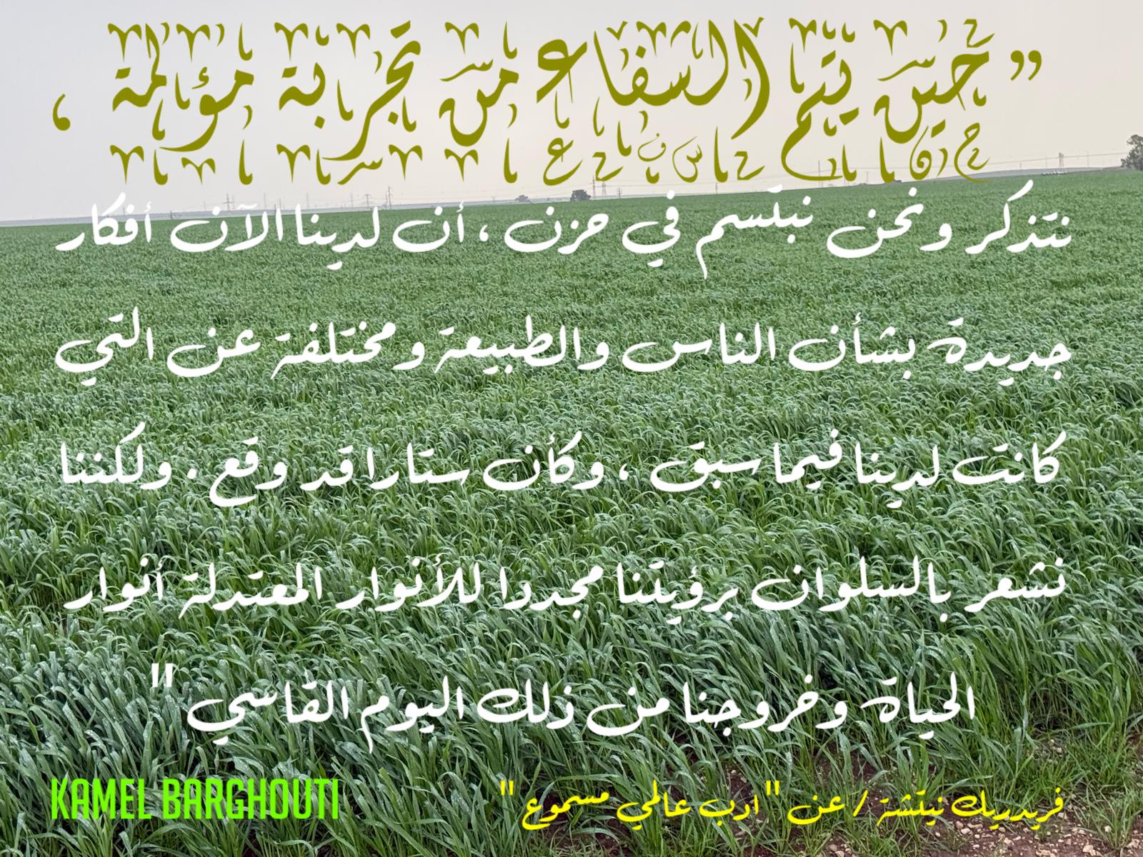 كلام جميل – اقتباس 544