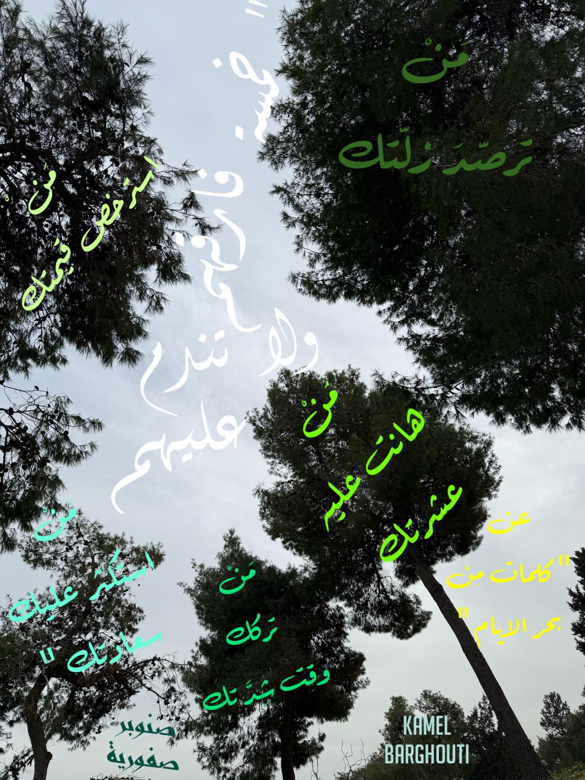 حكمة – اقتباس 244