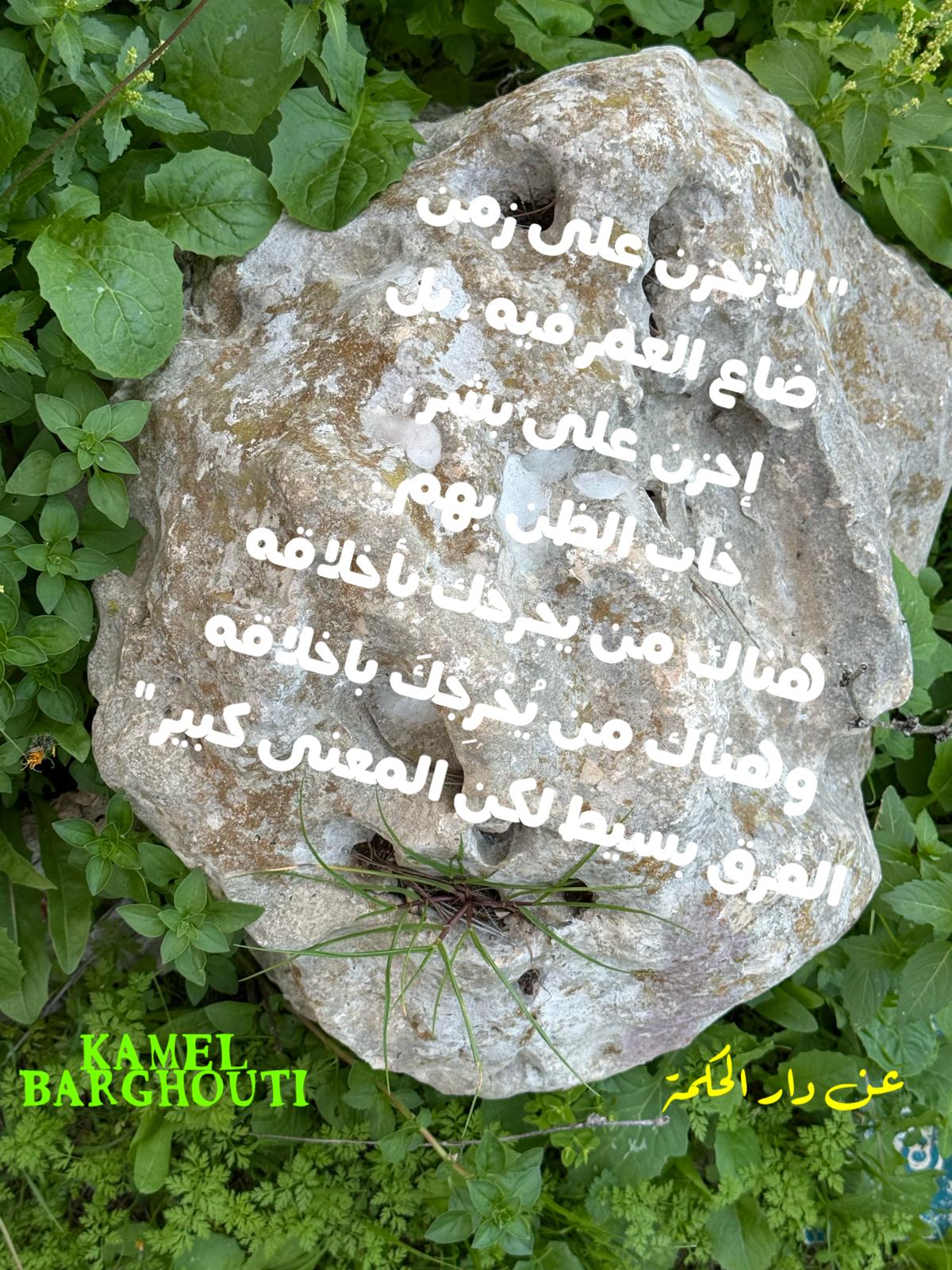 حكمة – اقتباس 254