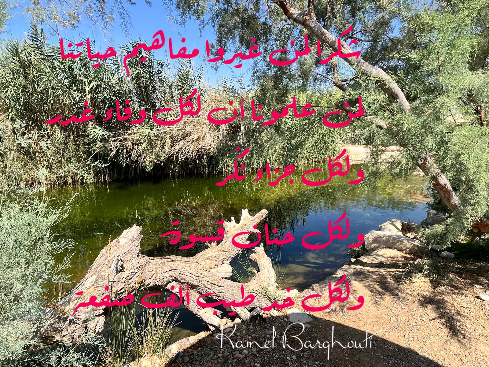 حكمة – اقتباس 252