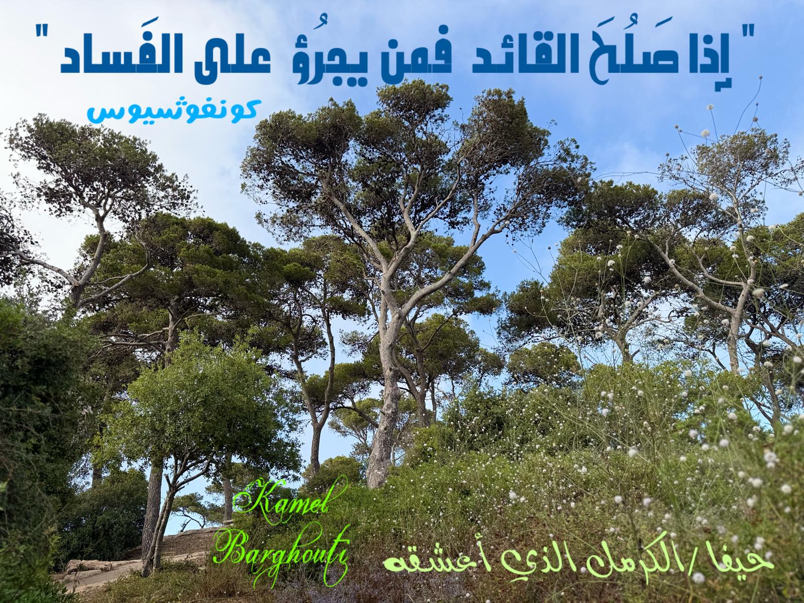 حكمة – اقتباس 233