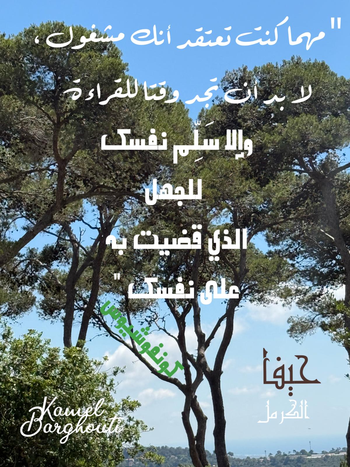 حكمة – اقتباس 237