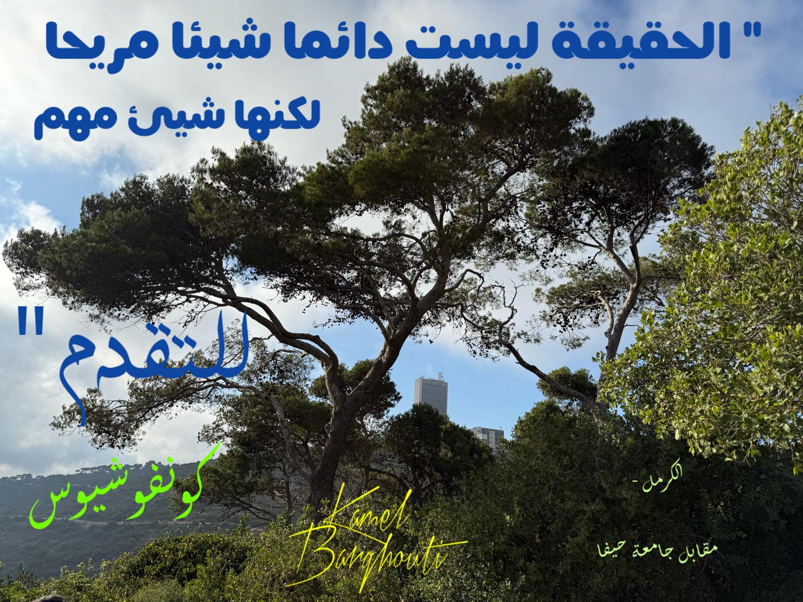 حكمة – اقتباس 234