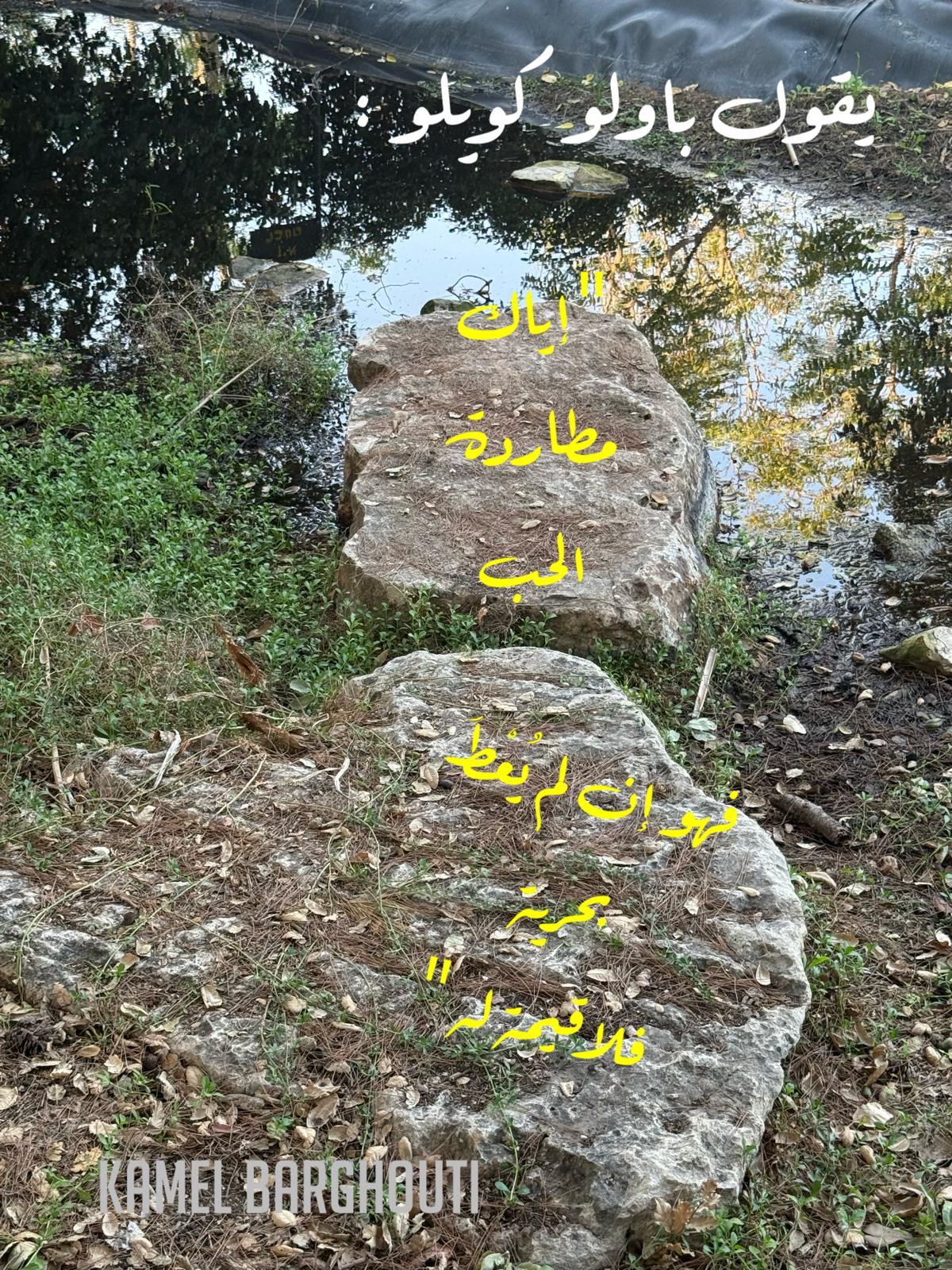 حكمة – اقتباس 215