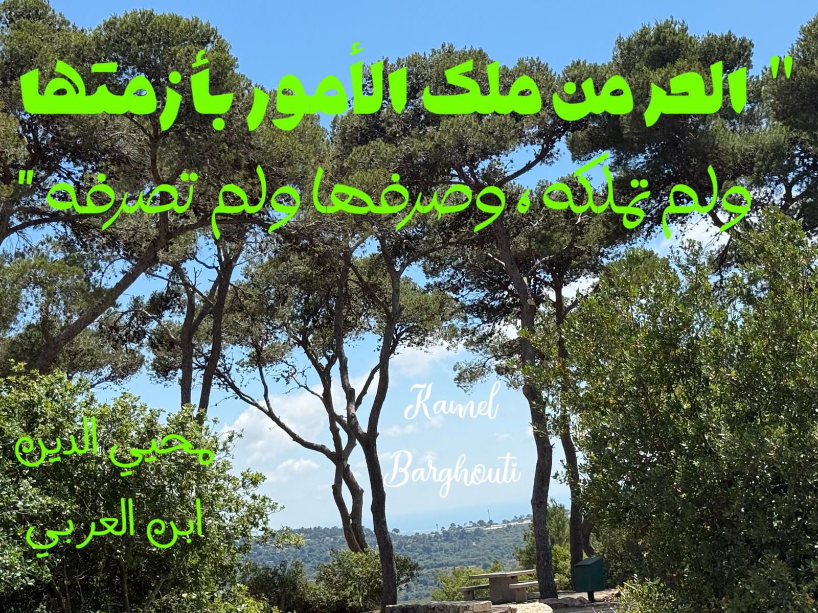 حكمة – اقتباس 216