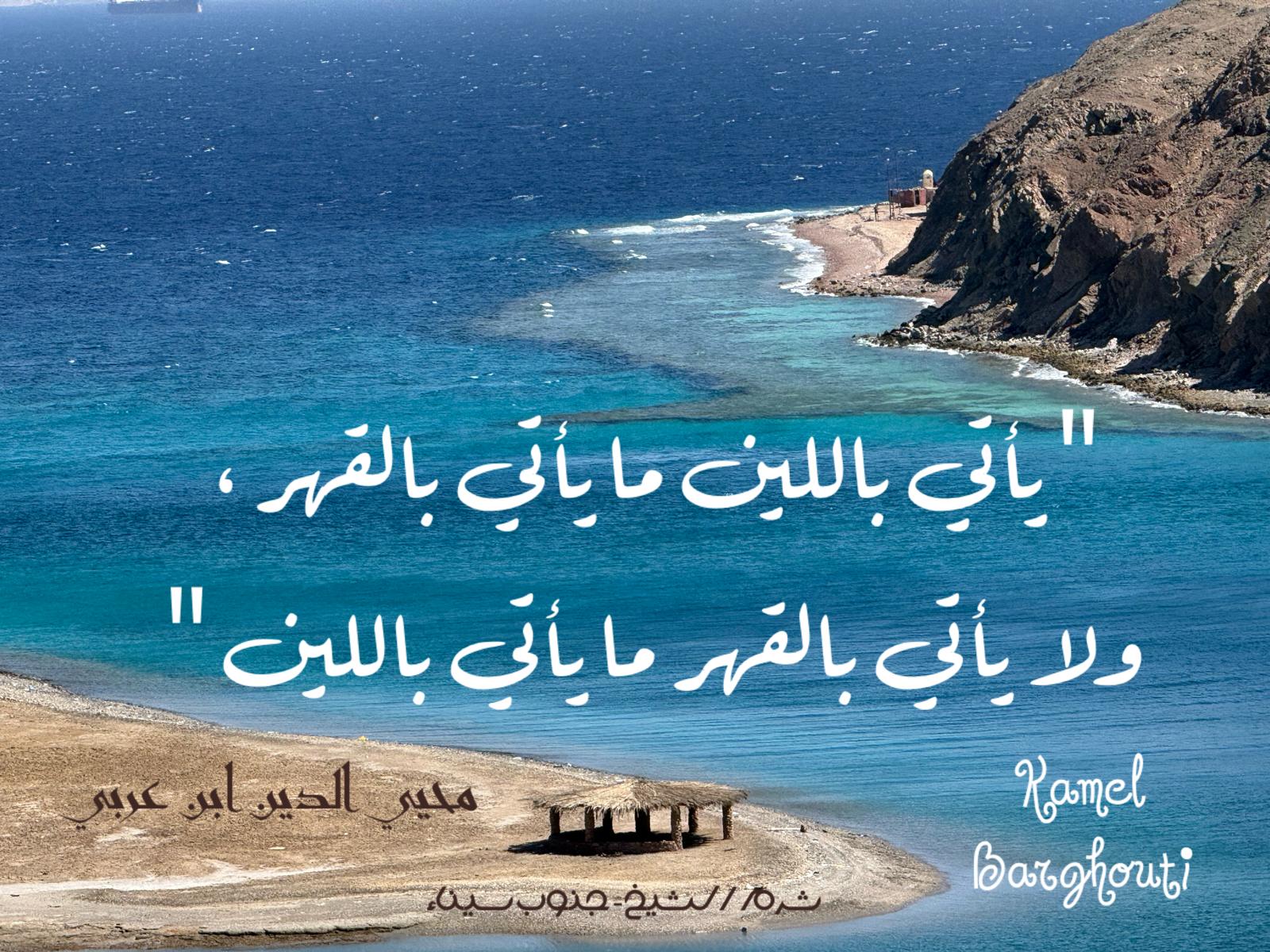 حكمة – اقتباس 210