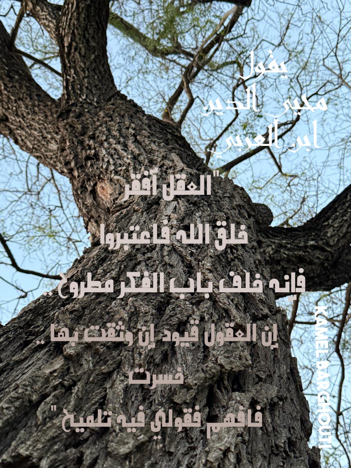 حكمة – اقتباس 223