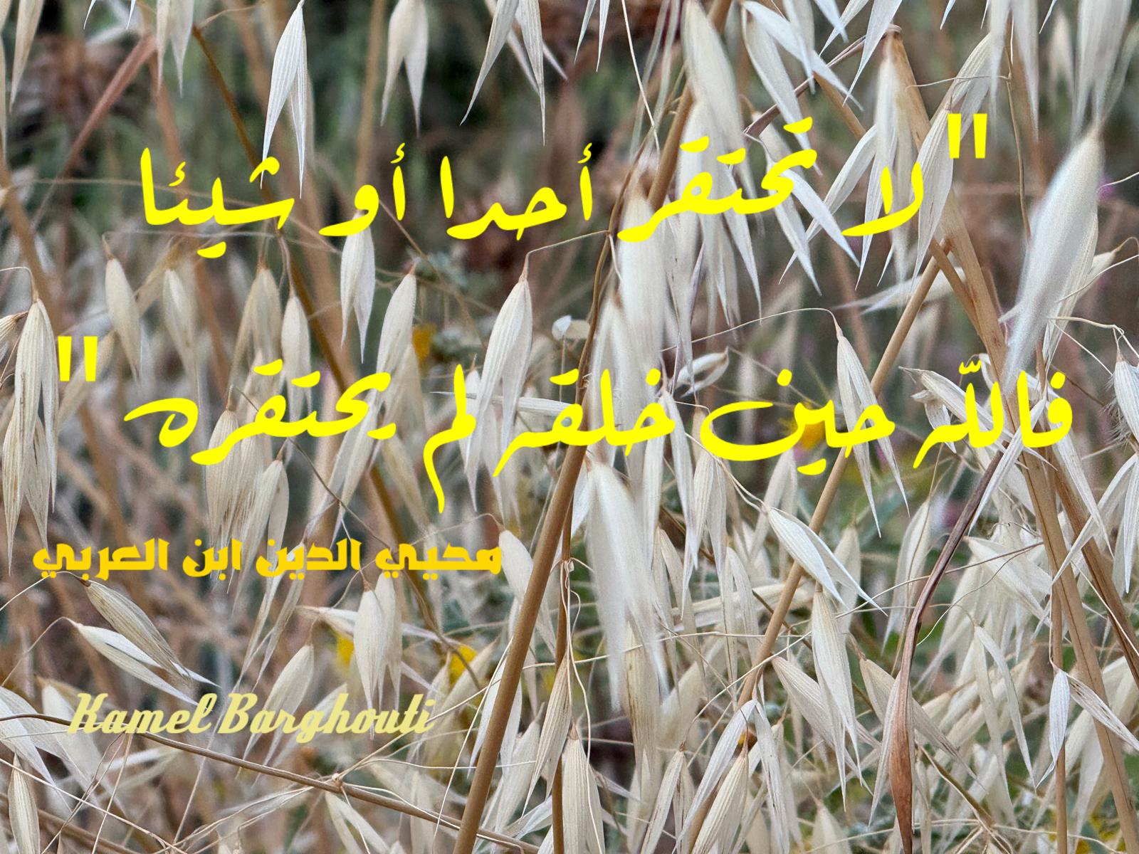 حكمة – اقتباس 224