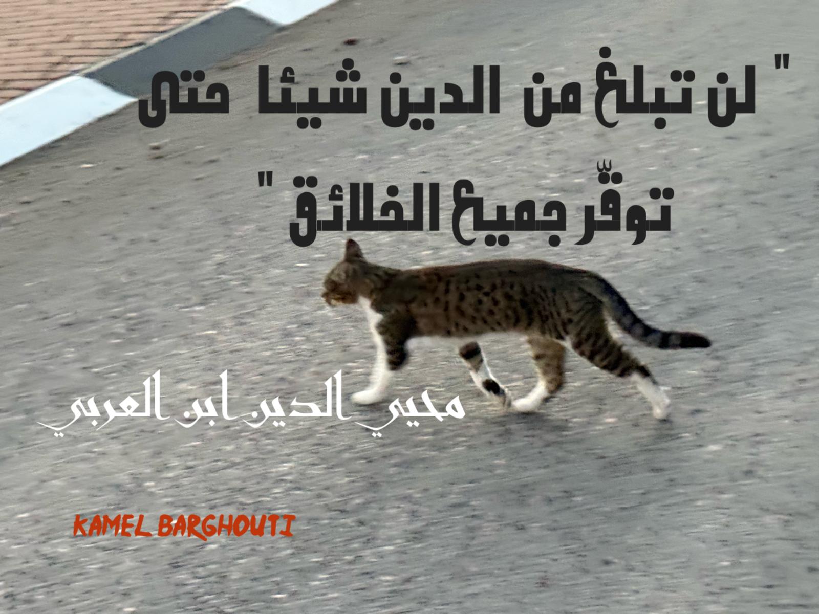 حكمة – اقتباس 225