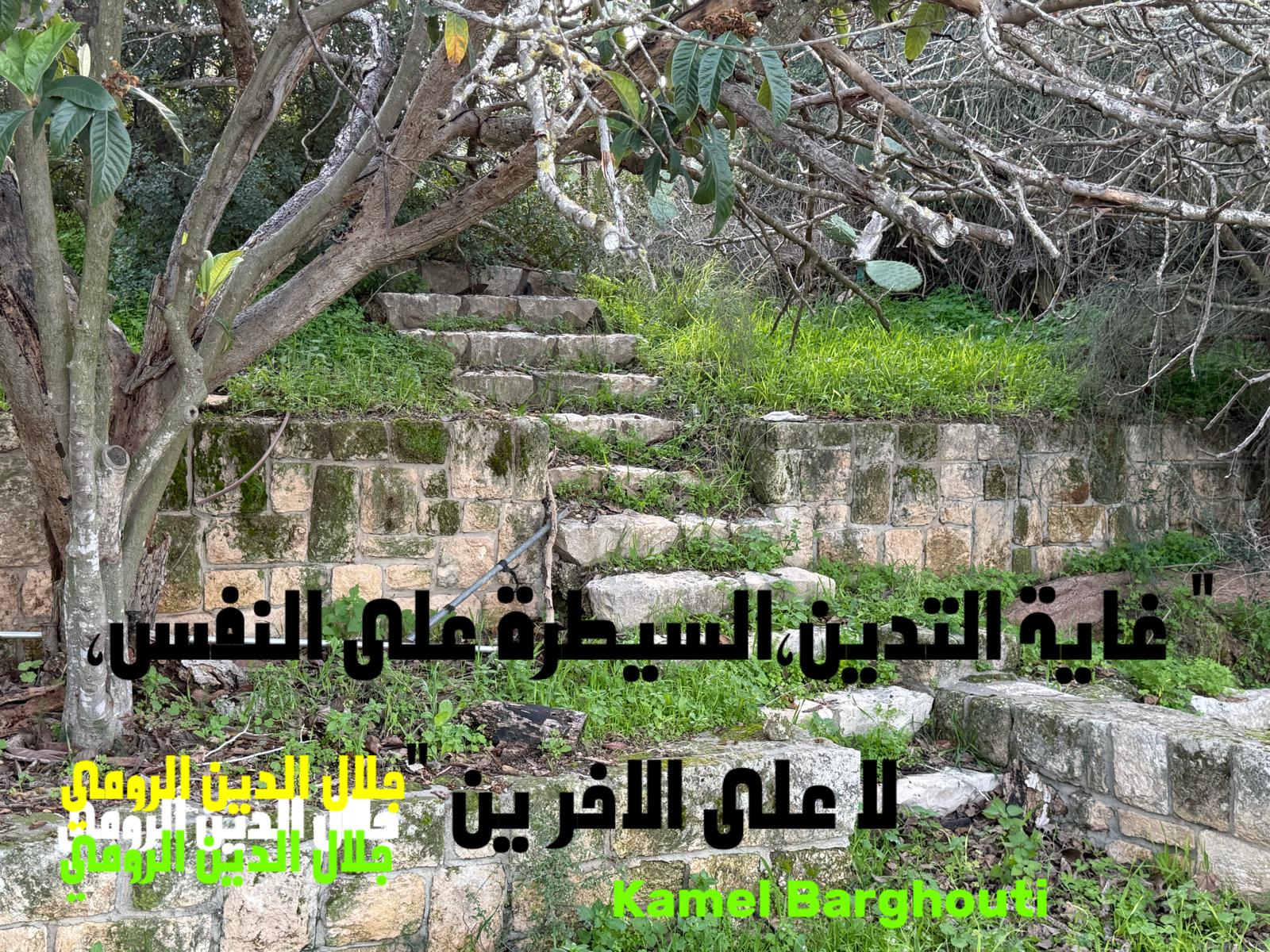 حكمة – اقتباس 214