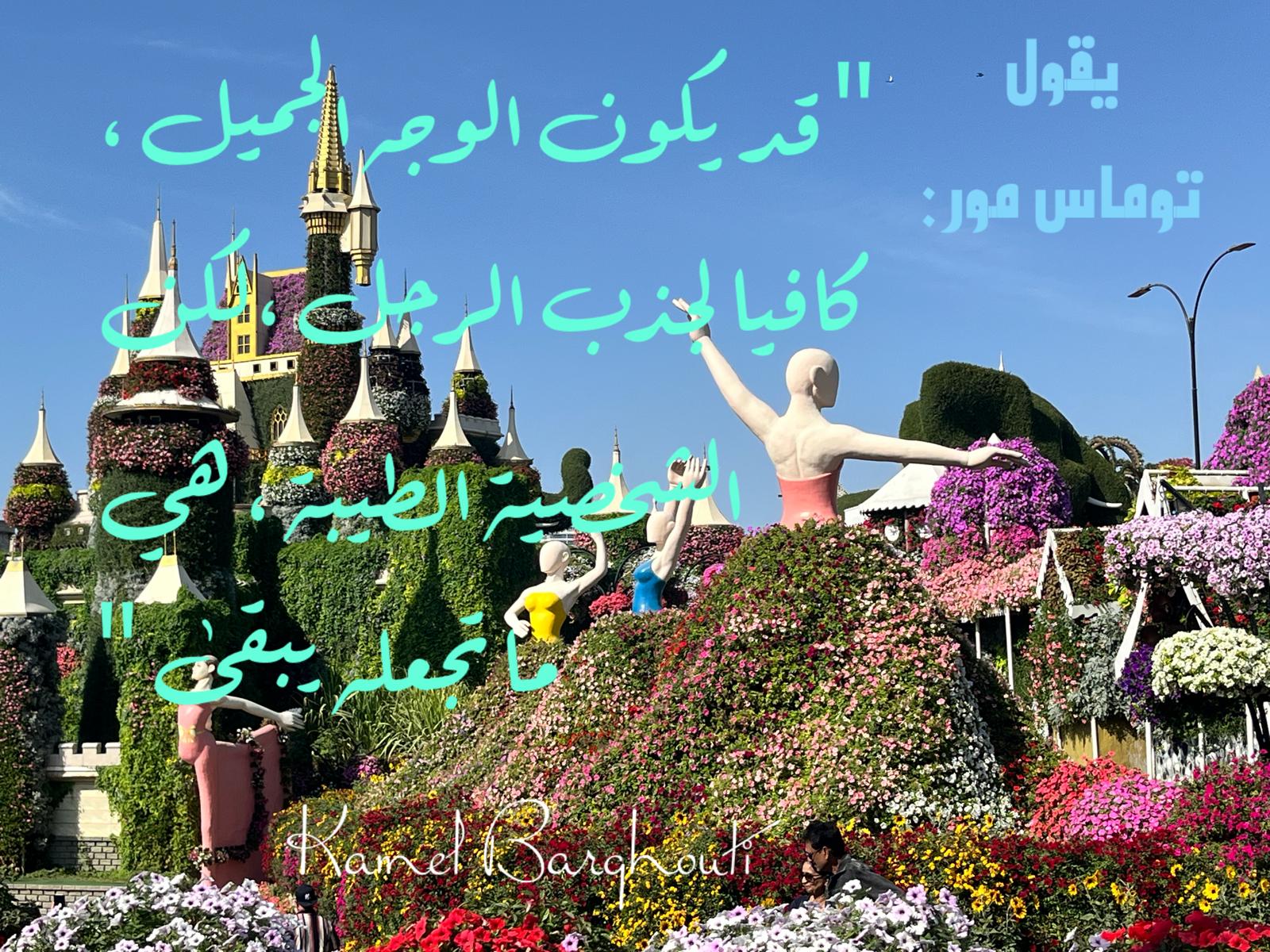 حكمة – اقتباس 206