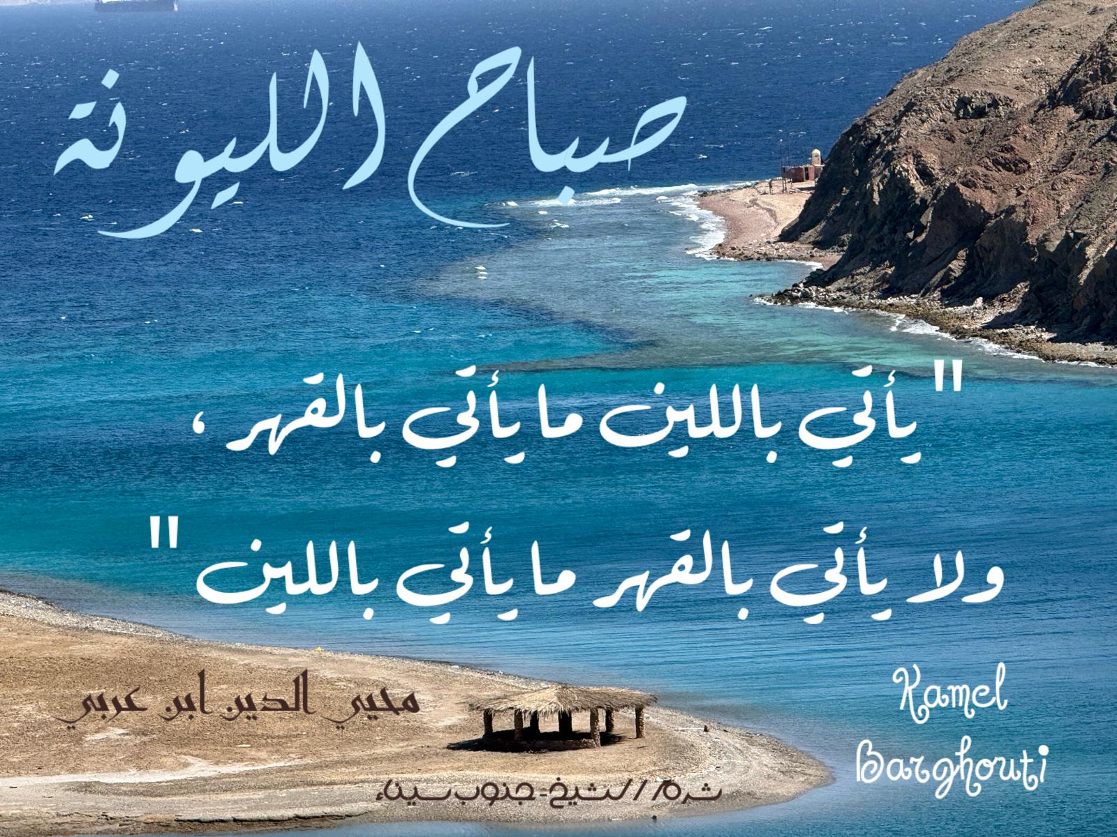 حكمة – اقتباس 195
