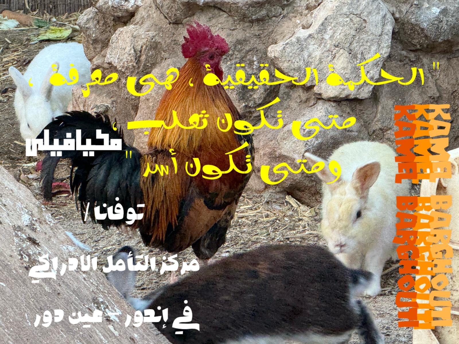 حكمة – اقتباس 200