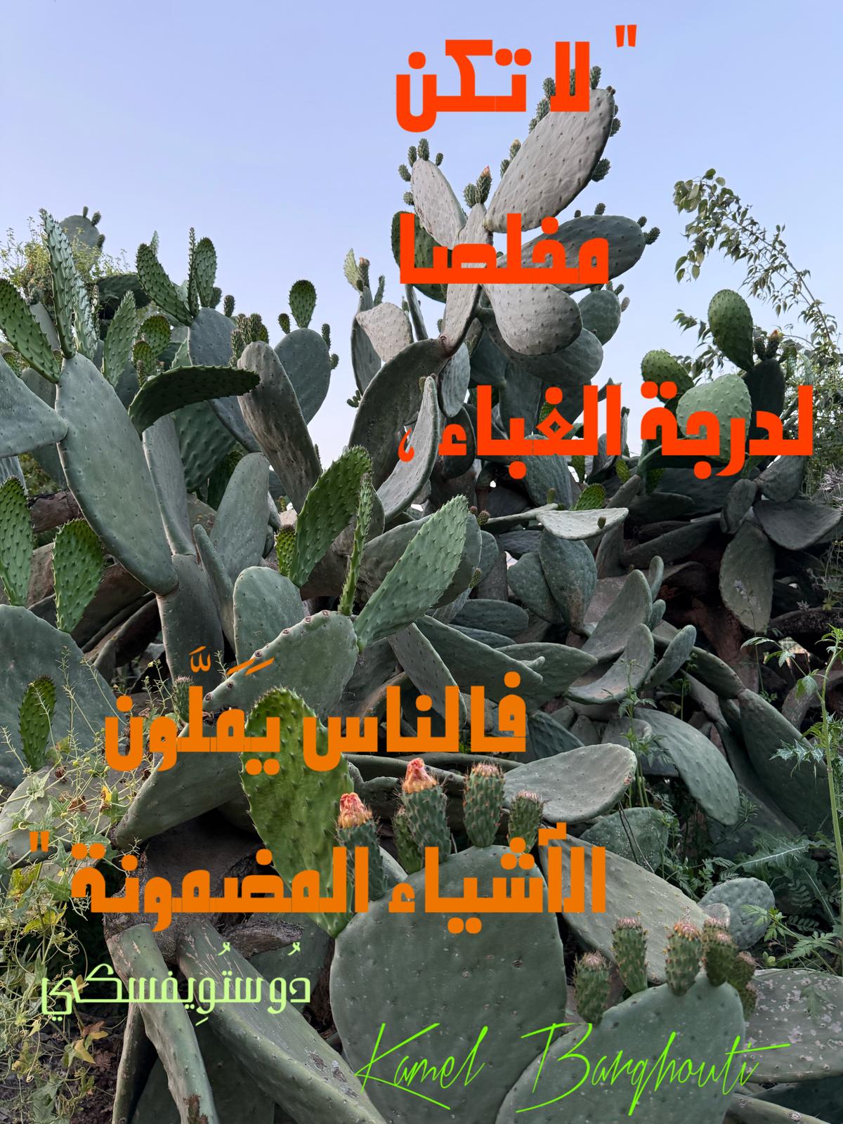 حكمة – اقتباس 205