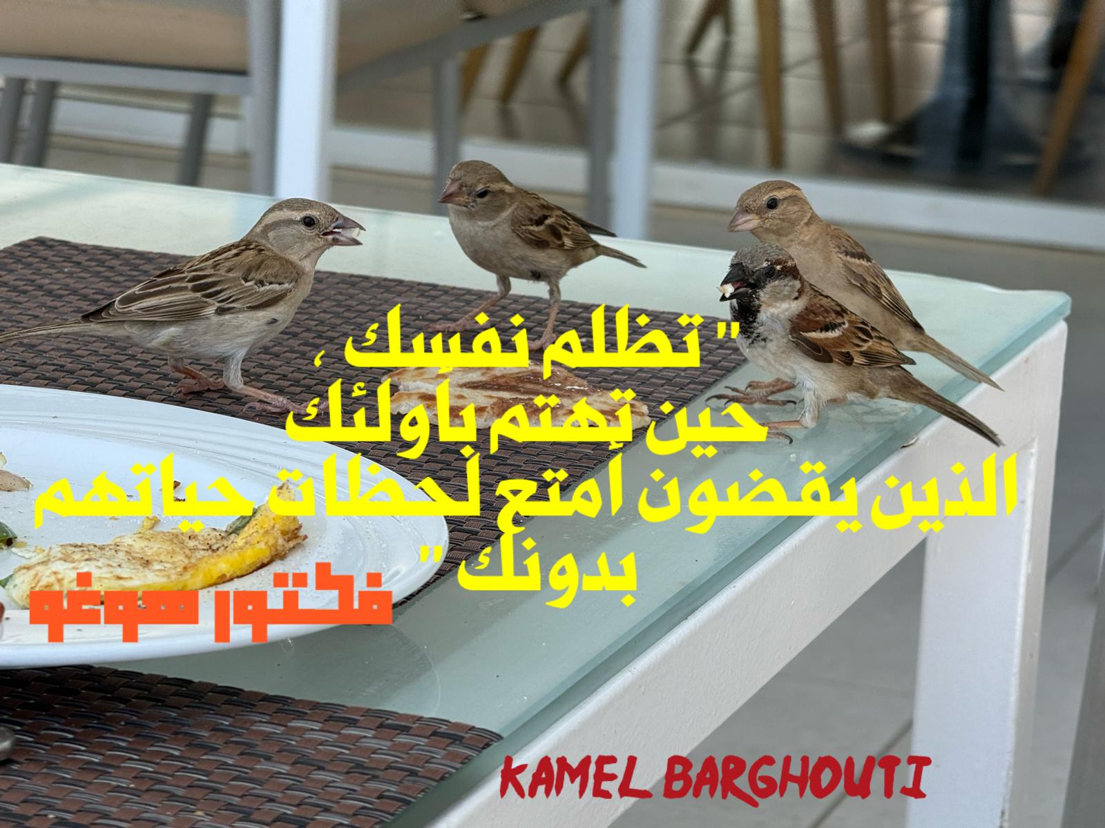 حكمة – اقتباس 204