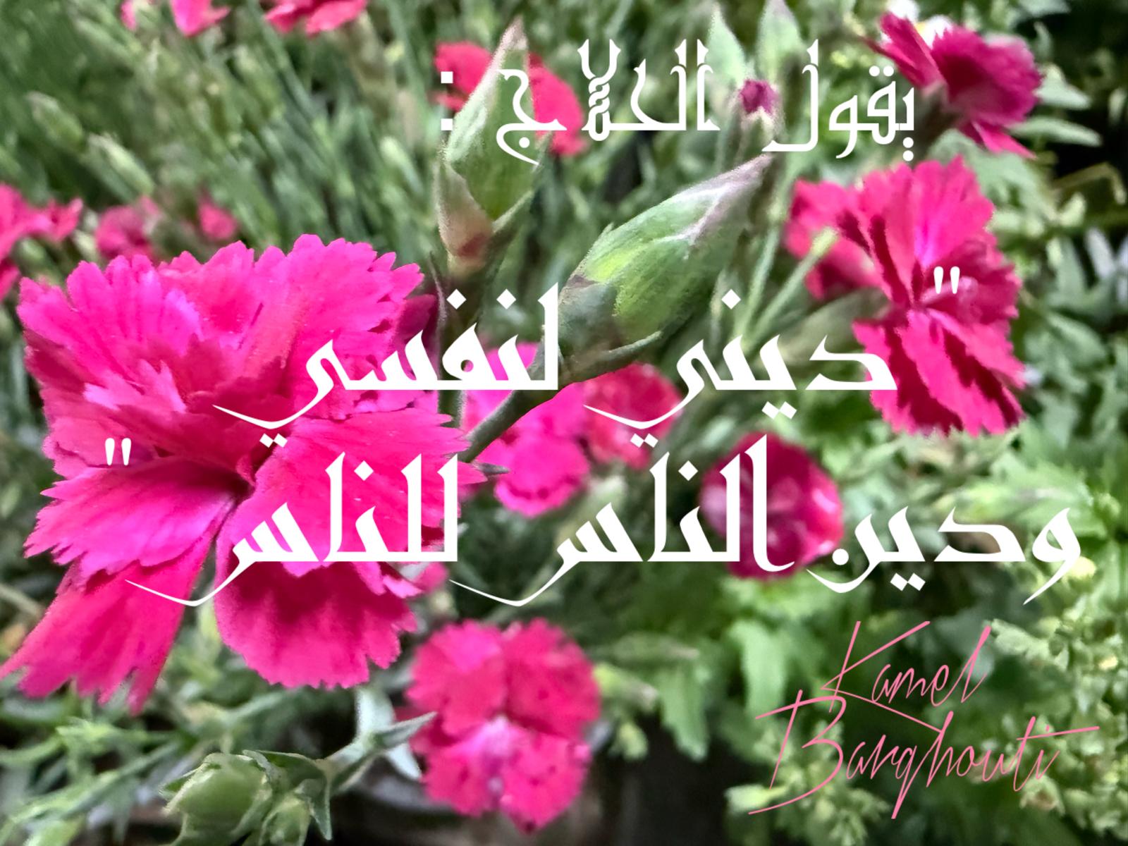 حكمة – اقتباس 194