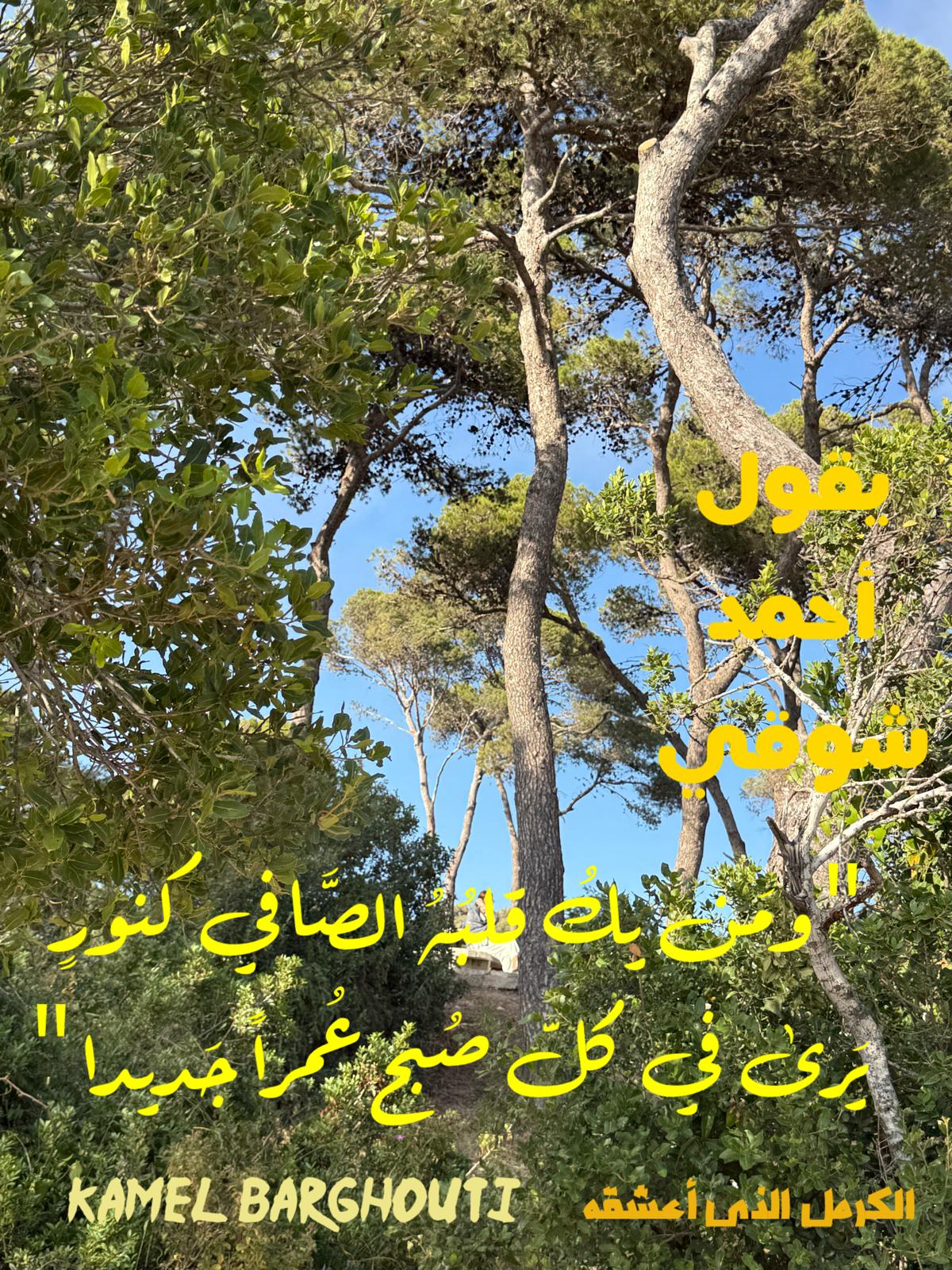 تفاؤل, أمل, وسعادة – اقتباس 366
