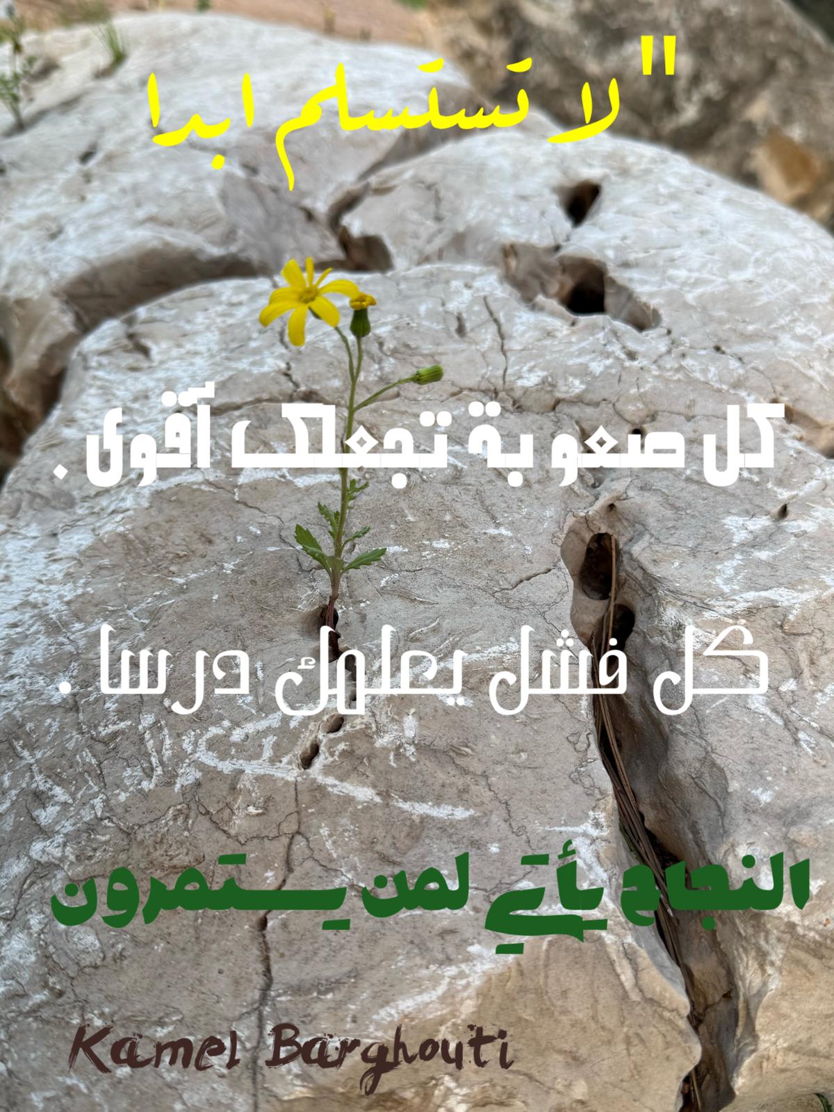 العزيمة والإصرار والثقة بالنفس – اقتباس 272