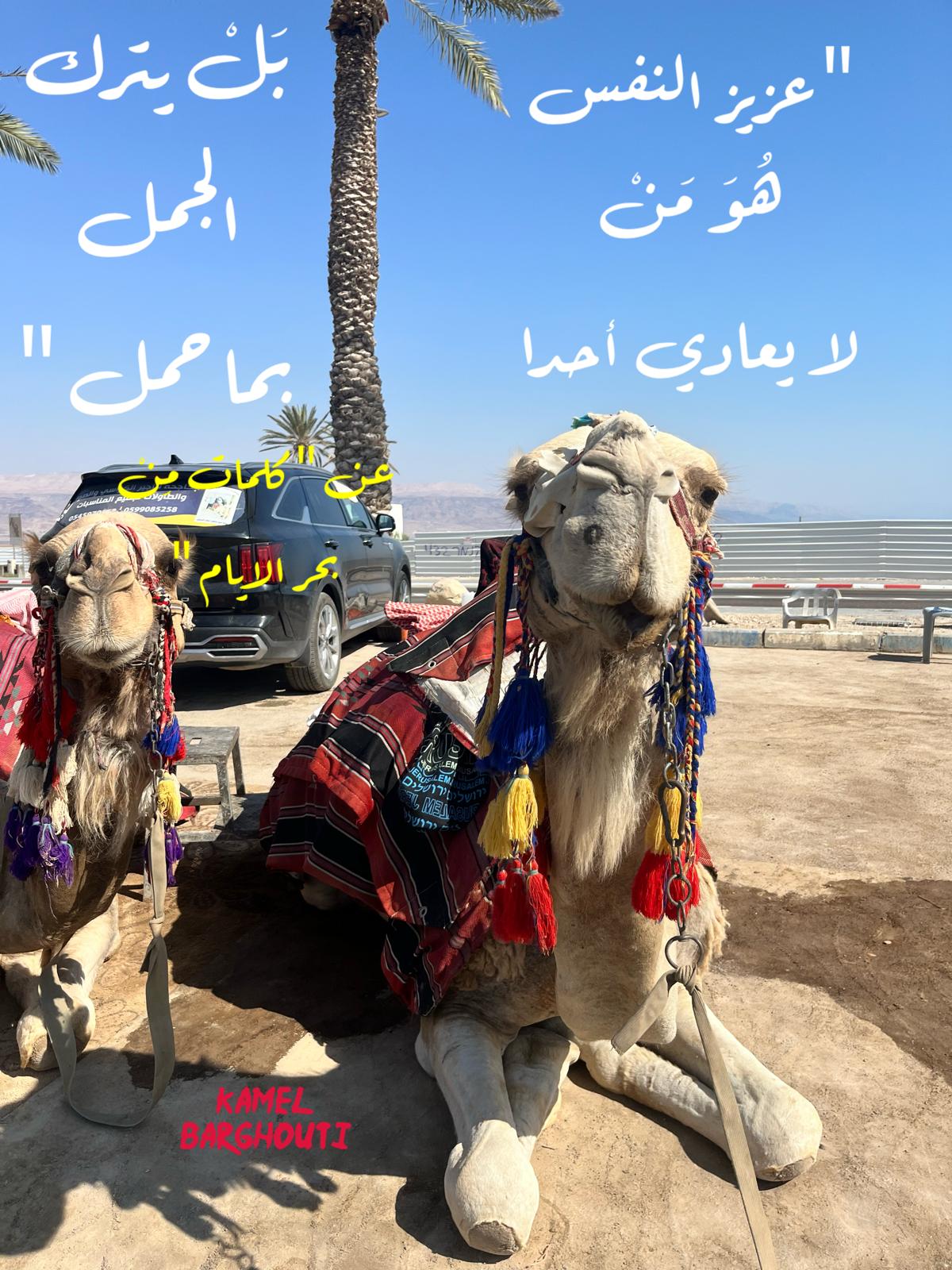 أمثال محلية – اقتباس 108