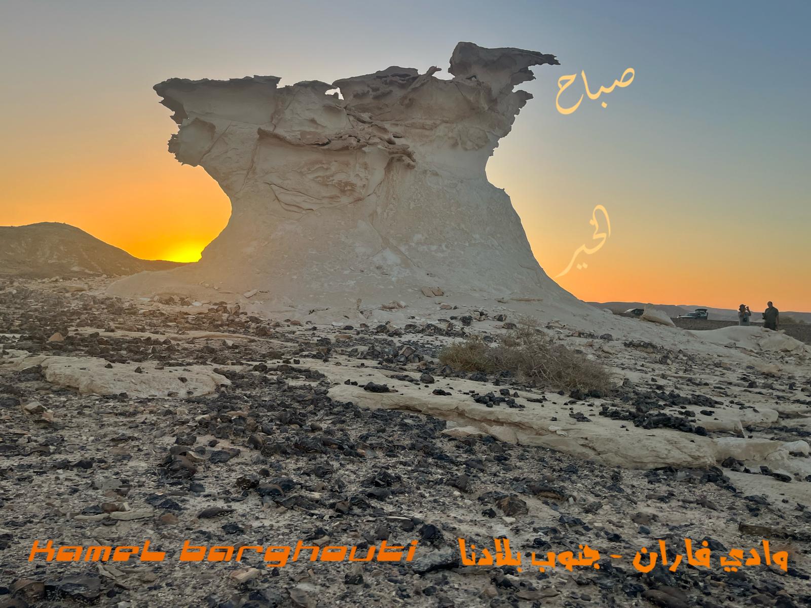 صباح الخير – اقتباس 109