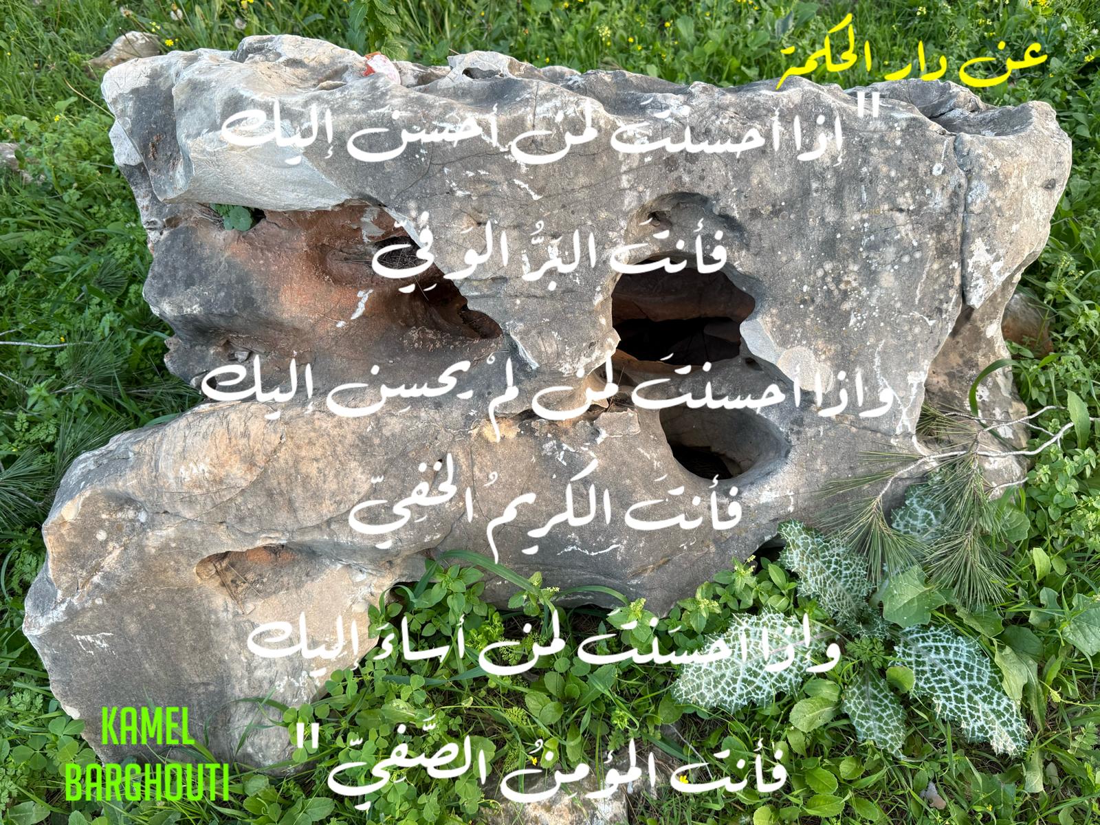 كلام جميل – اقتباس 541