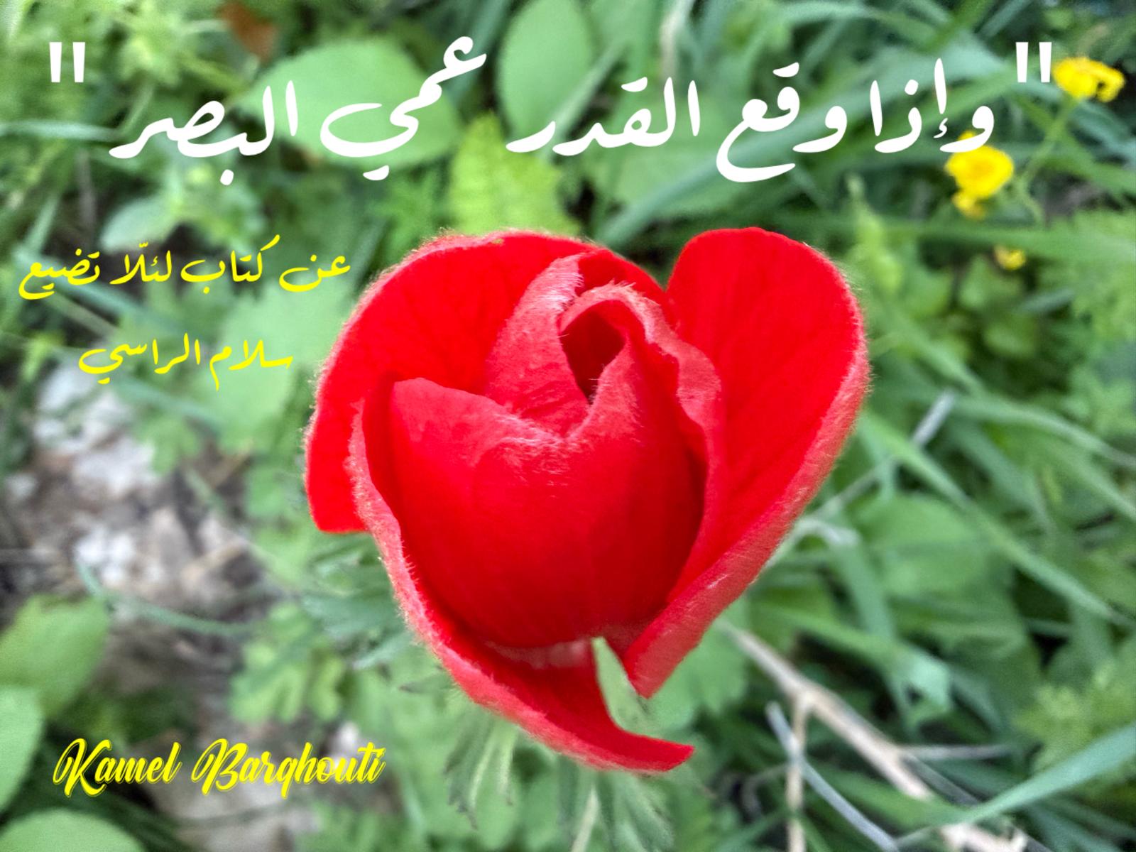 أمثال محلية – اقتباس 99